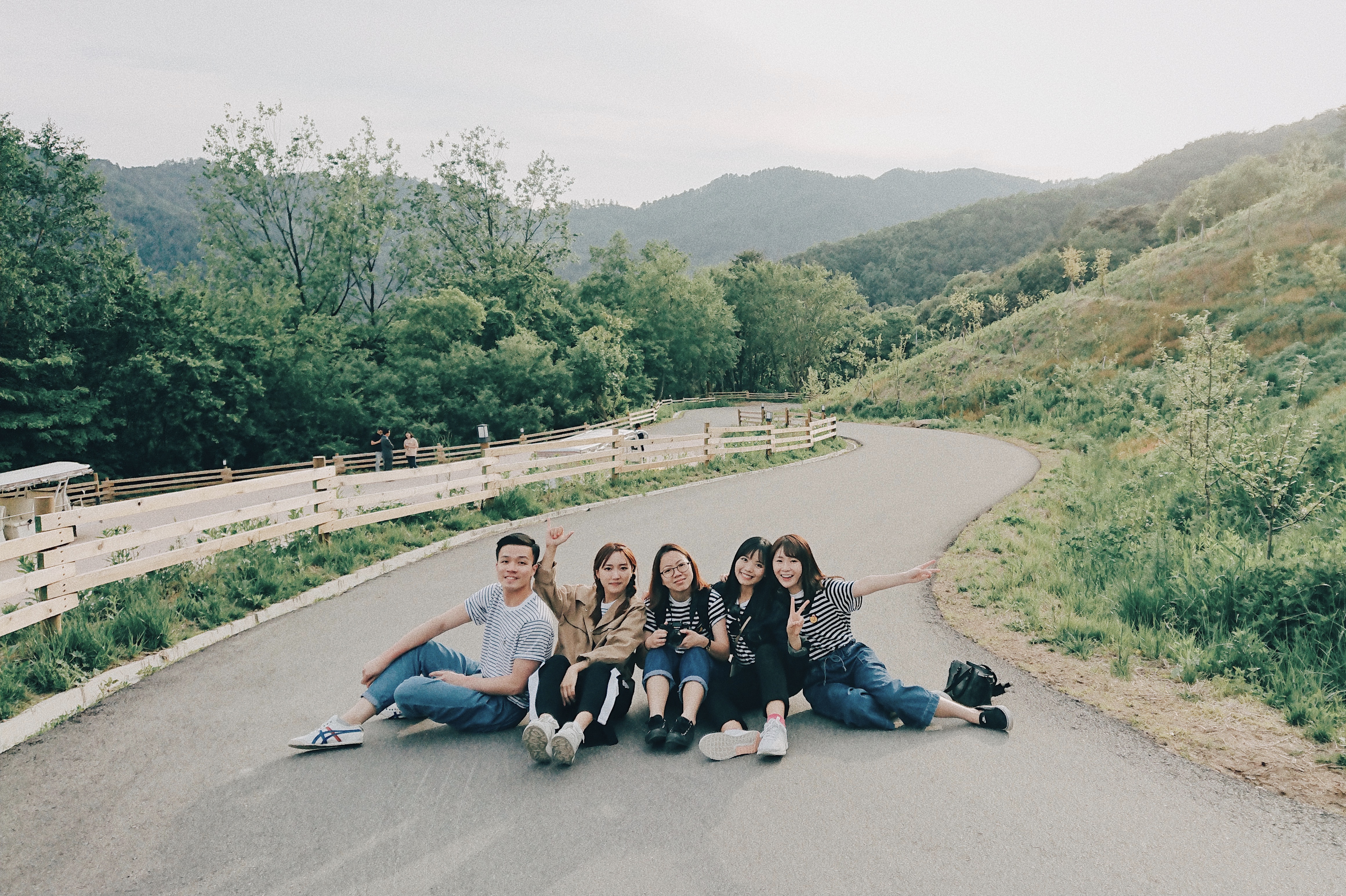 Photographer | Alpaca World South Korea