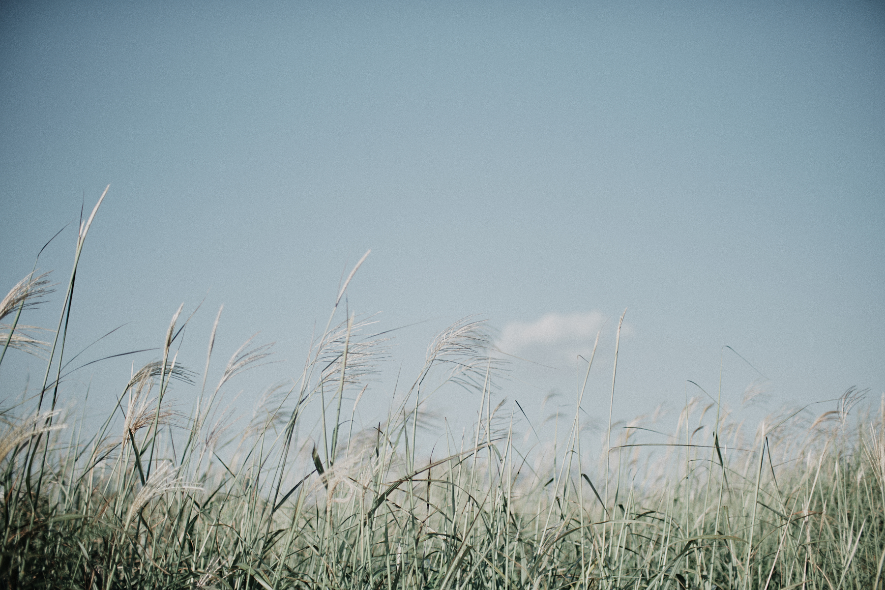 Haneul Park Seoul South Korea