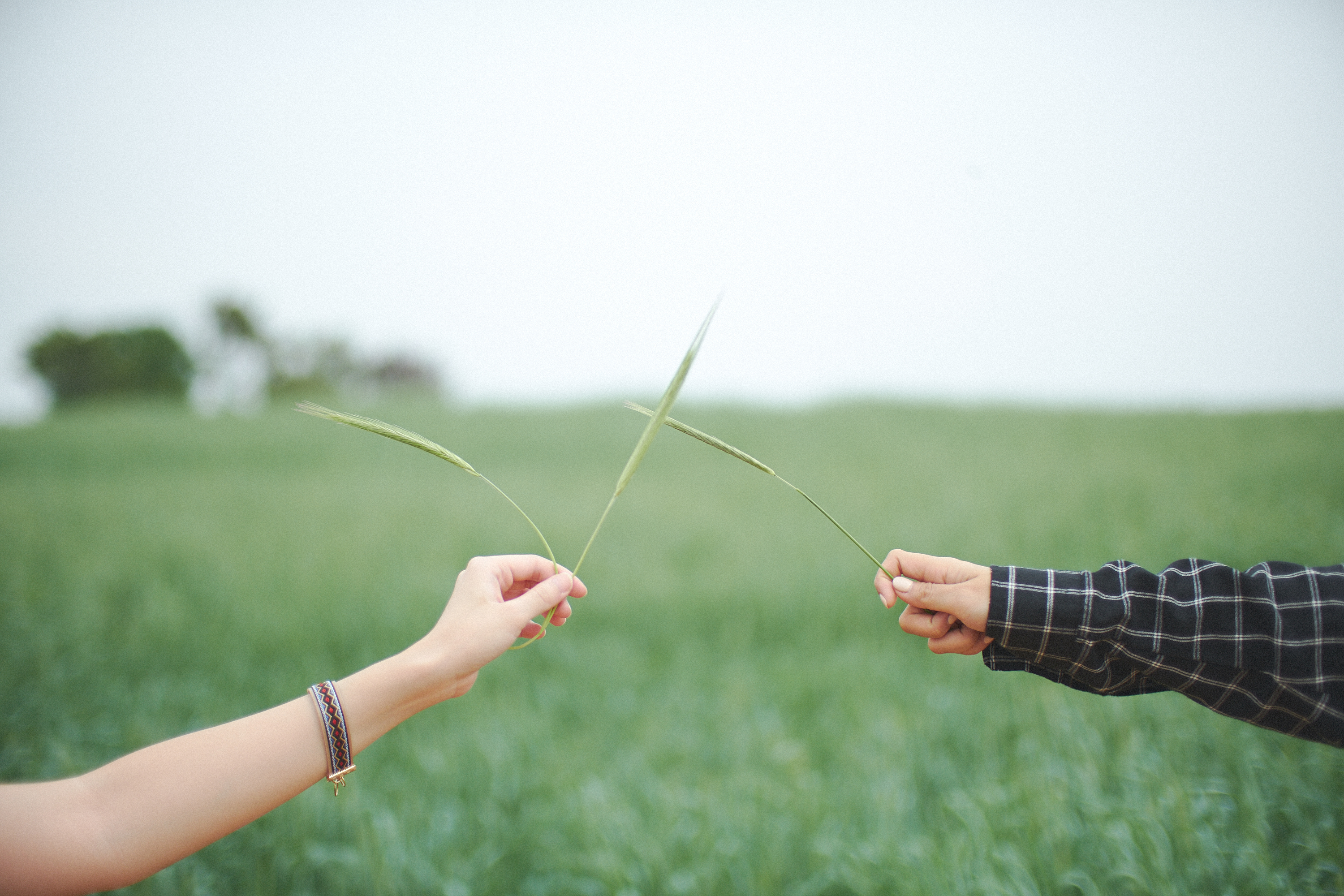 Photographer | Anseong Farmland South Korea