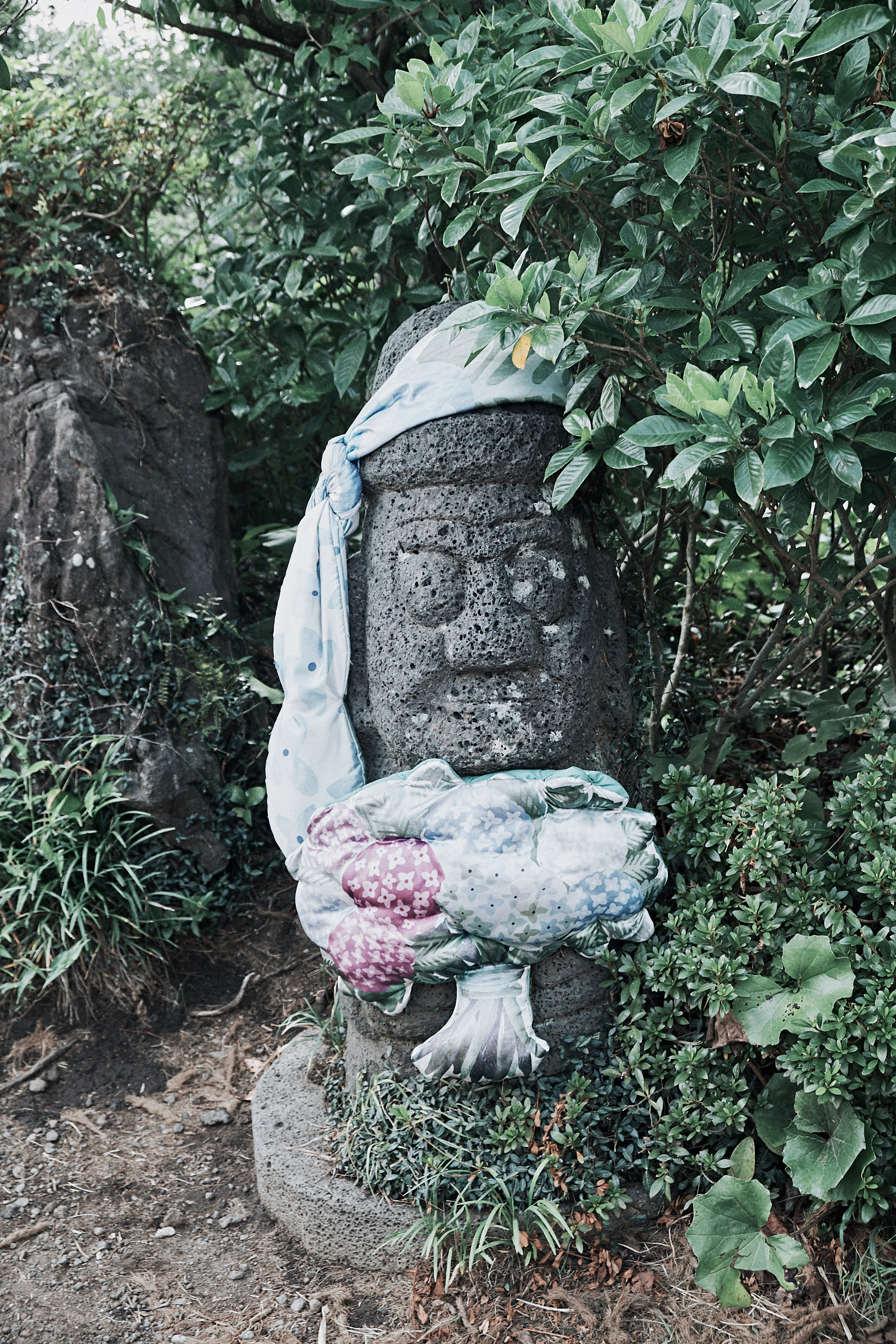 Jeju Camellia Hill 12