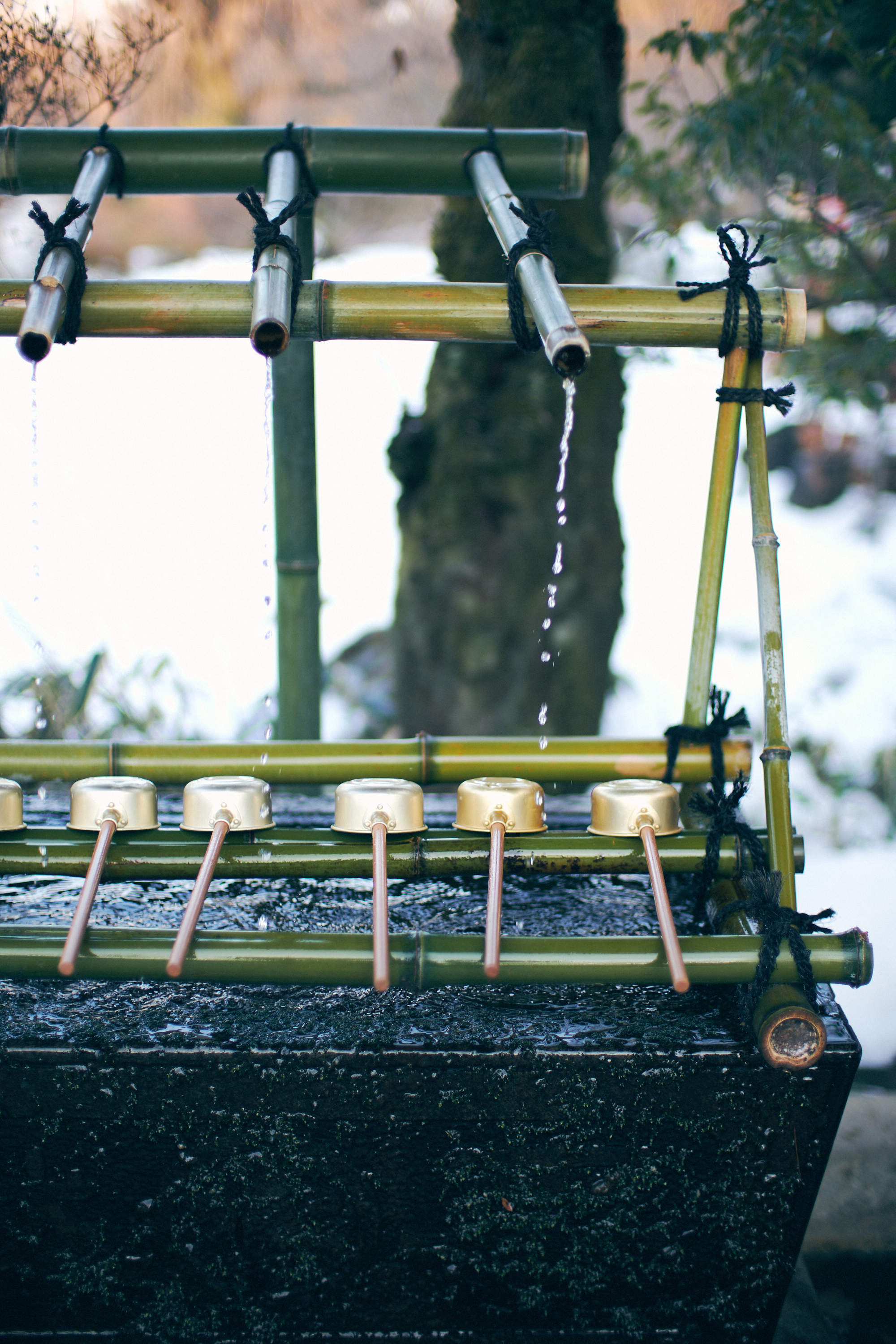 Travel Photographer | Shorinzan Darumaji Takasaki Japan