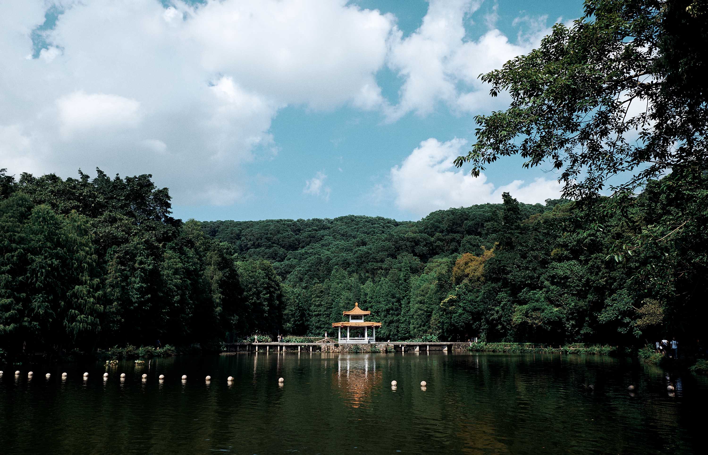 Shenzhen Fairy Lake Botanical Garden