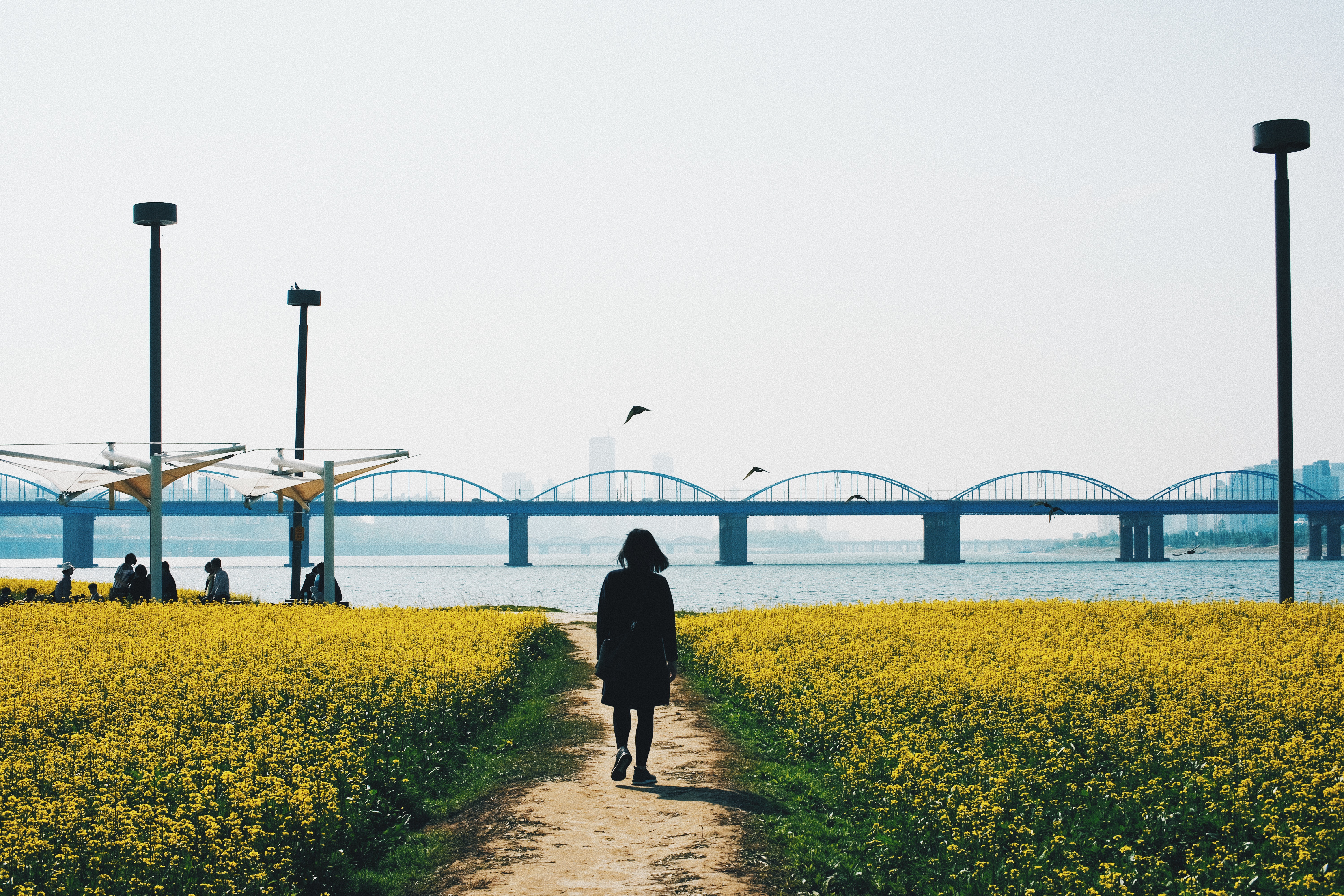 Photographer | Seoraeseom Seoul South Korea