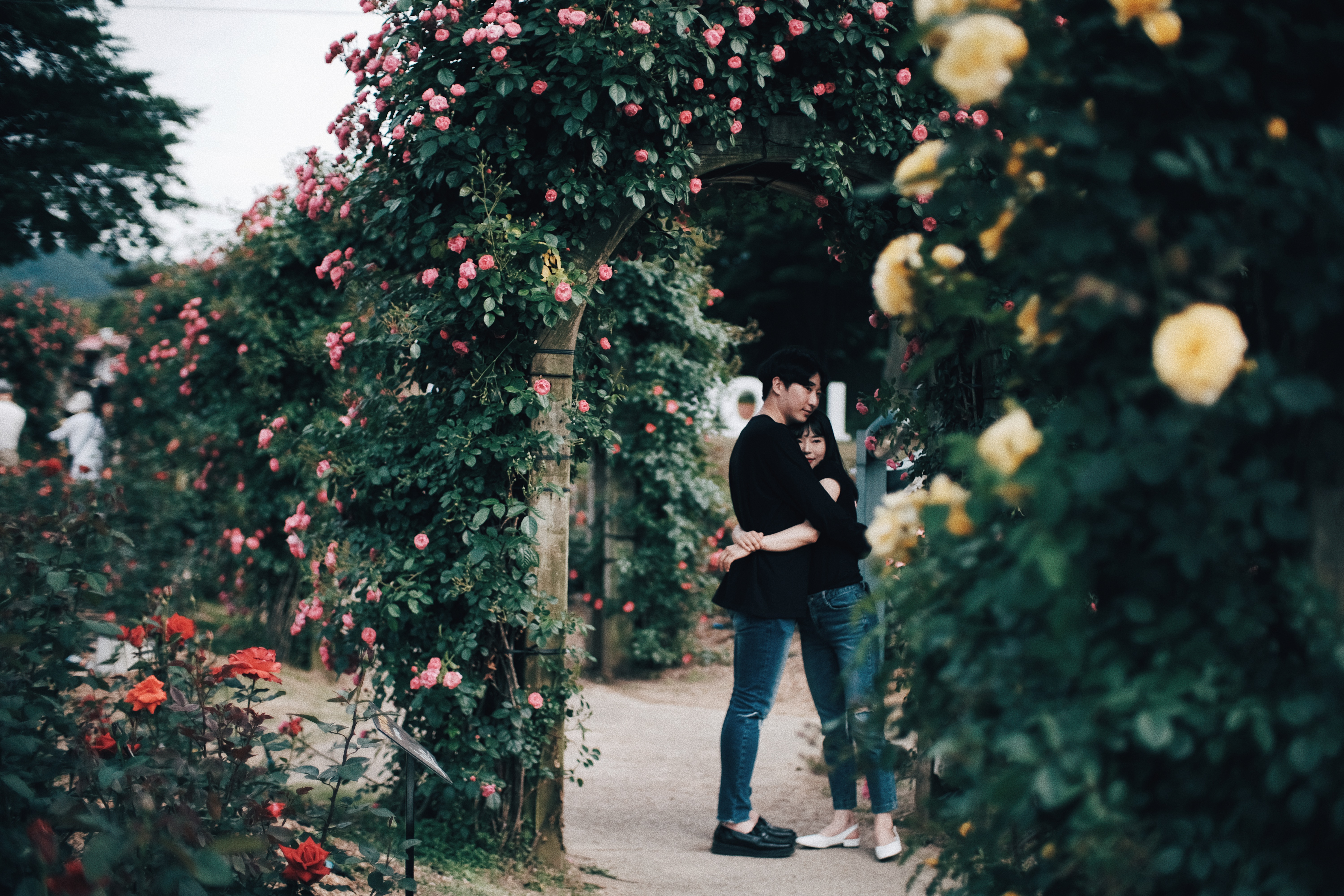 Photographer | Seoul Grand Park Rose Festival 2018 South Korea