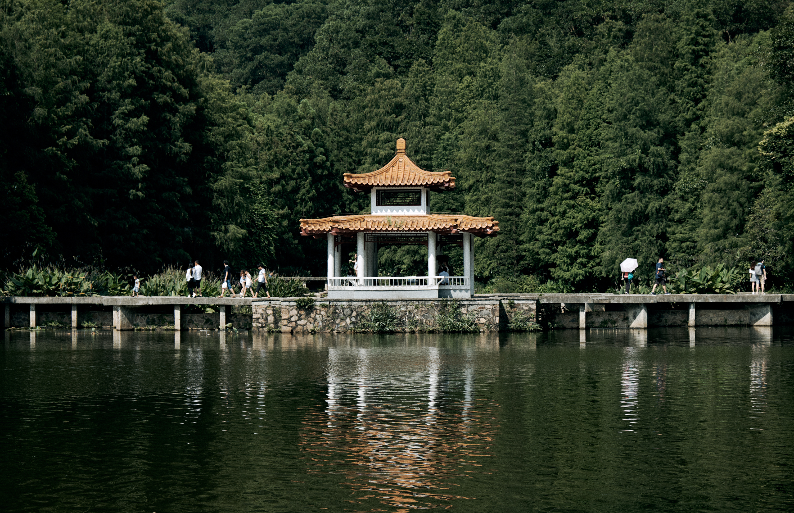 Shenzhen Fairy Lake Botanical Garden