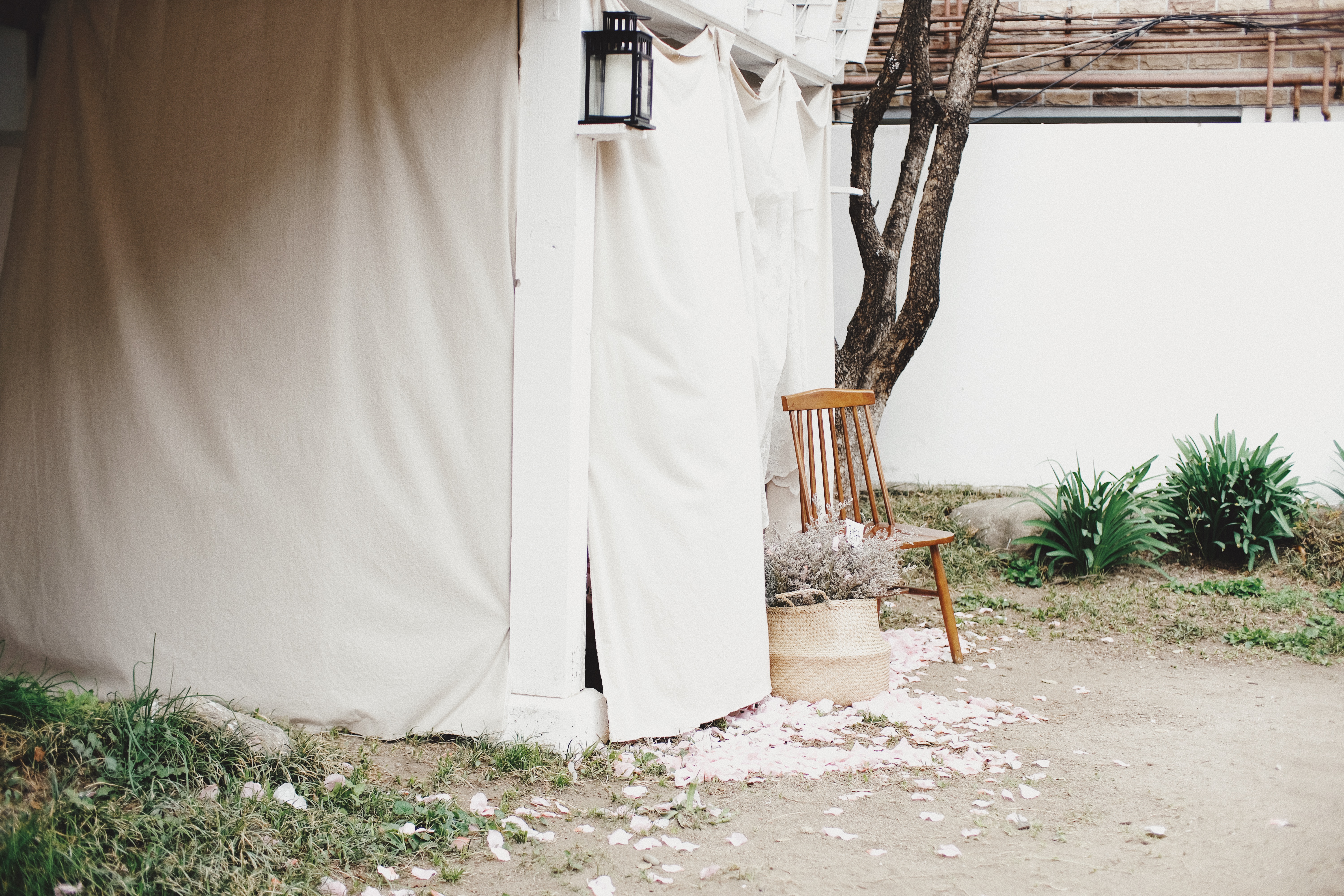 Arari Ovene Cafe Yeonnamdong Seoul South Korea | Photographer