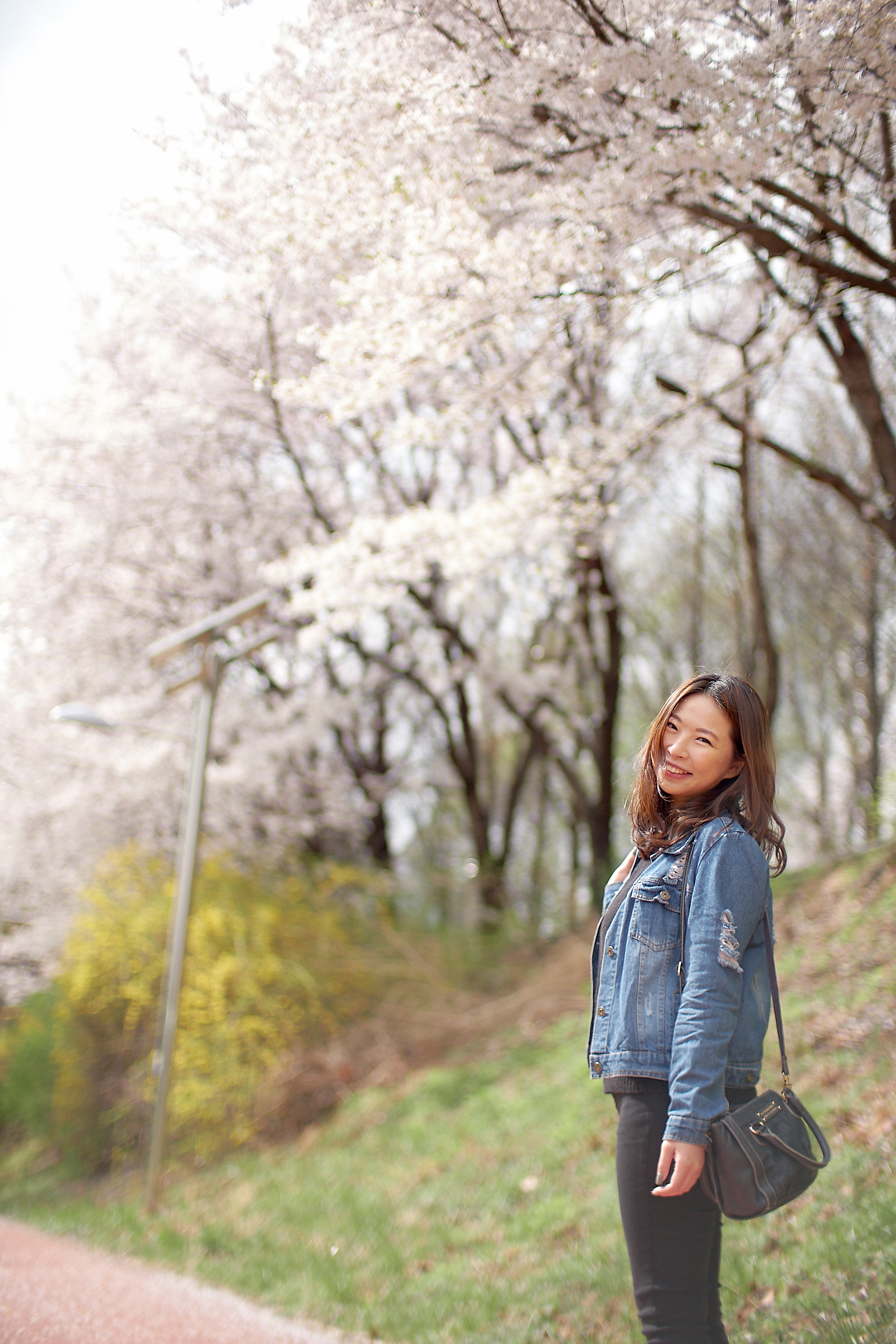 Portrait photo in Seoul, South Korea during spring.