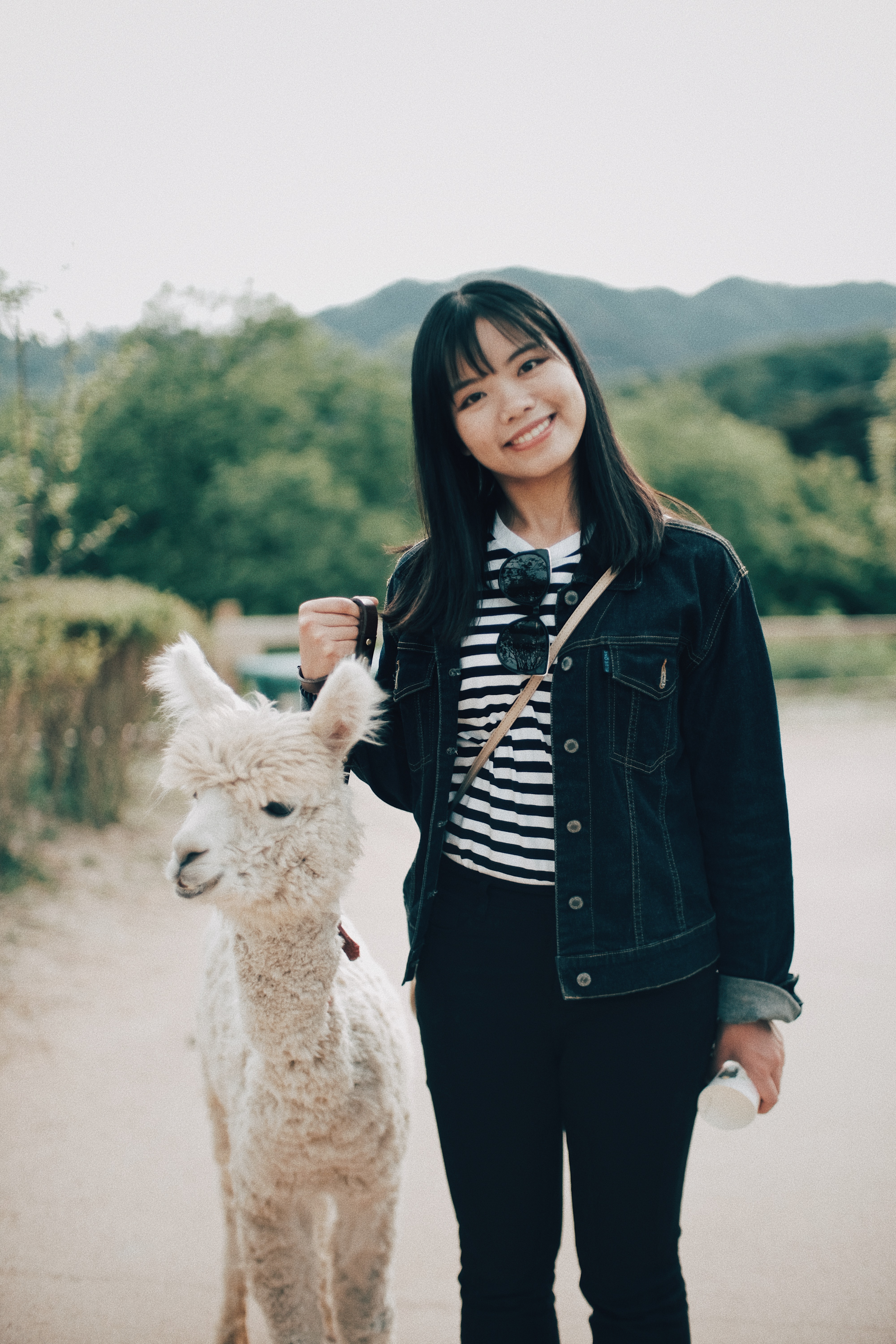 Photographer | Alpaca World South Korea