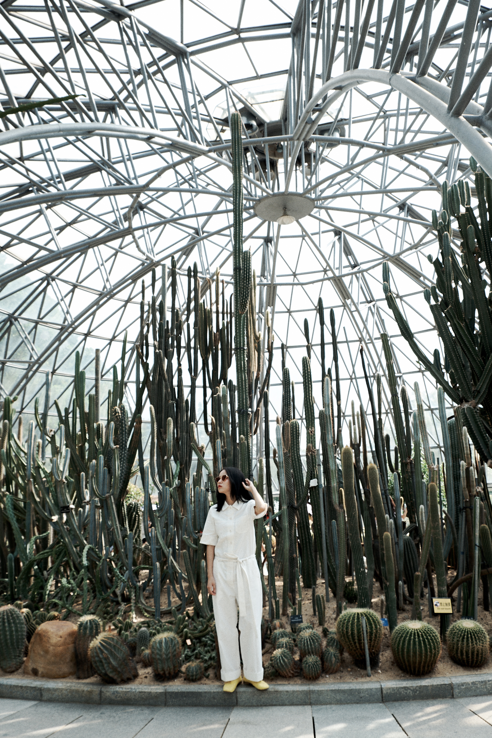 Shenzhen Fairy Lake Botanical Garden