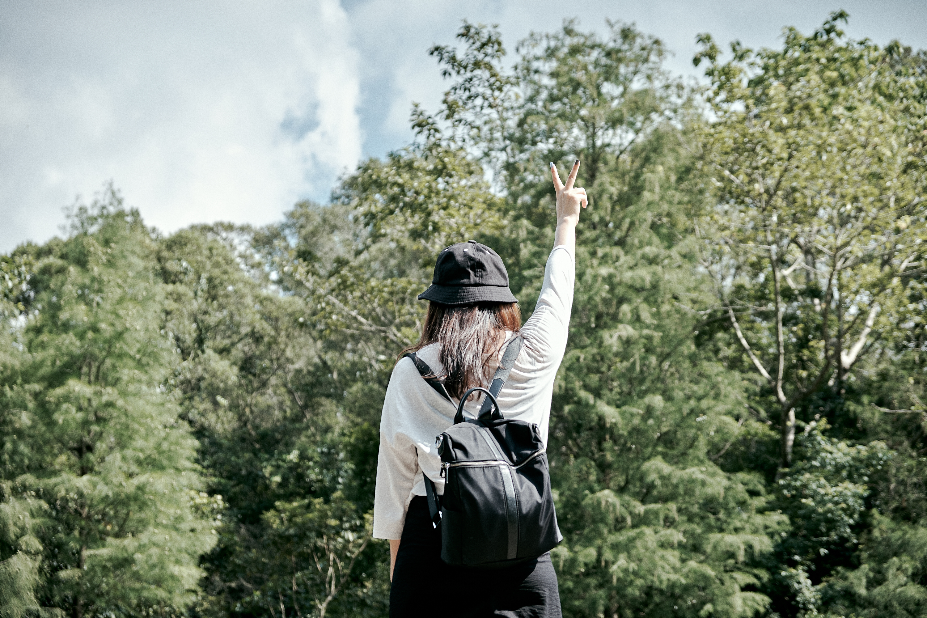 Shenzhen Fairy Lake Botanical Garden