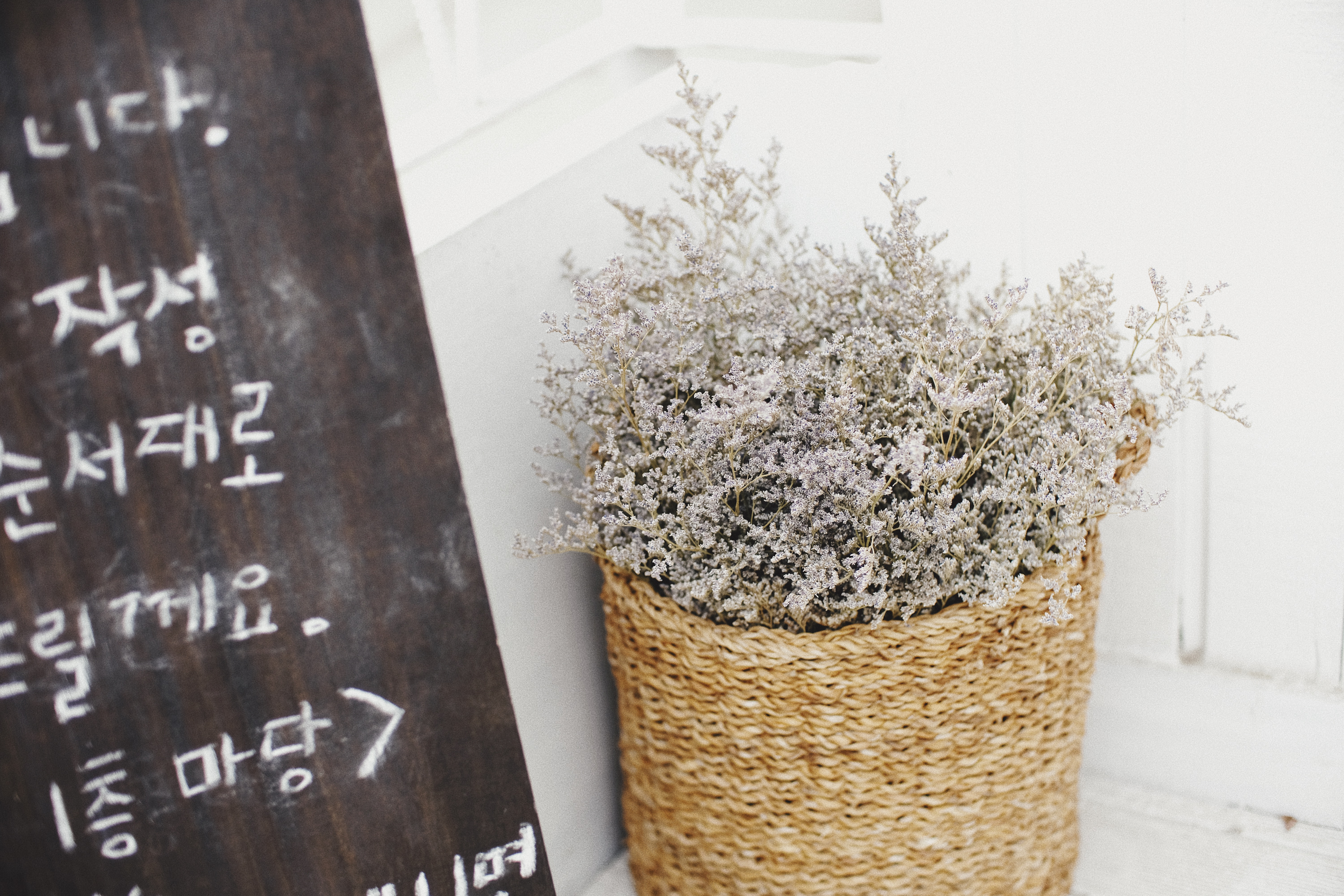 Arari Ovene Cafe Yeonnamdong Seoul South Korea | Photographer