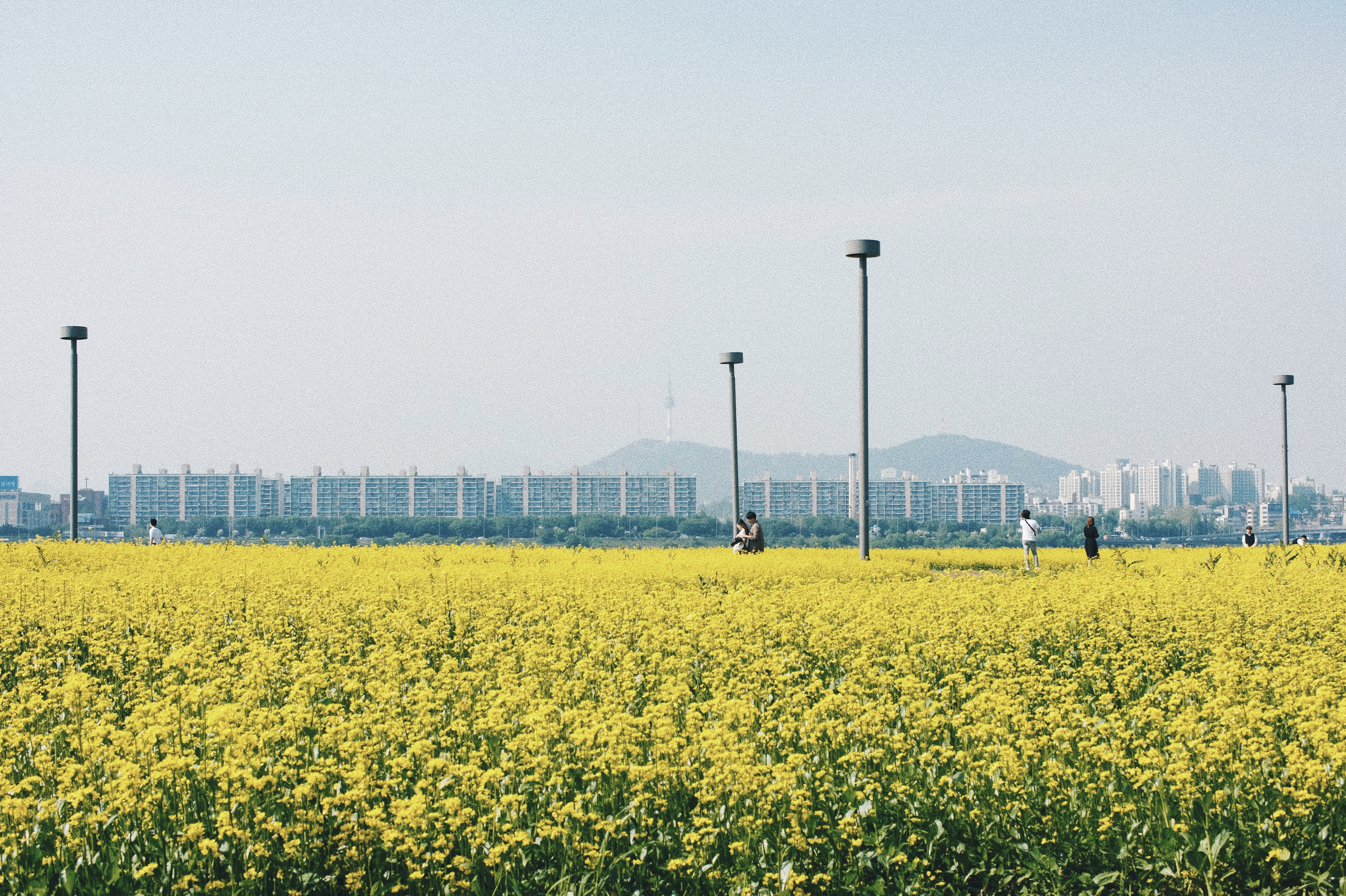 Photographer | Seoraeseom Seoul South Korea