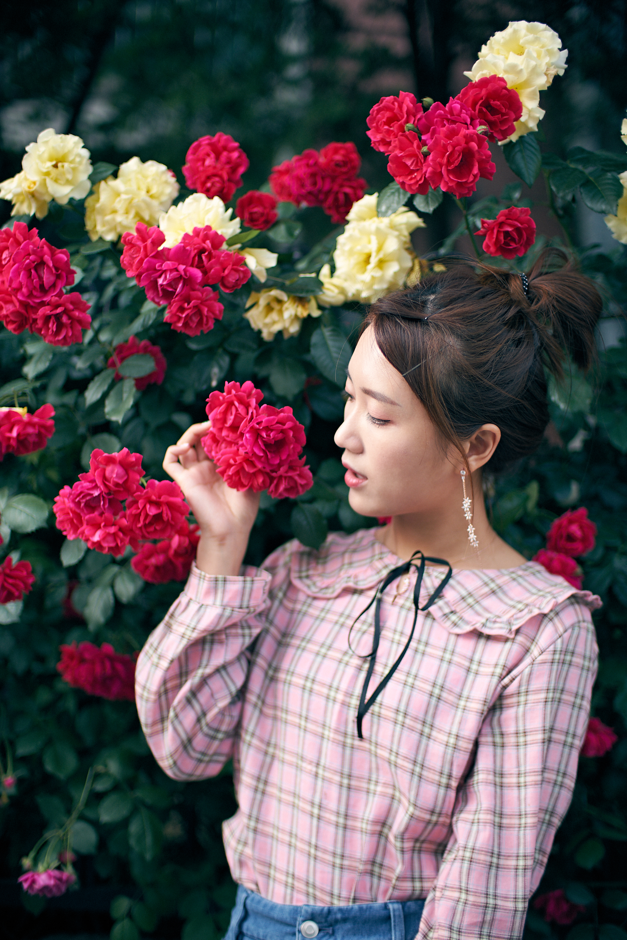 Photographer | Summer roses in Seoul South Korea