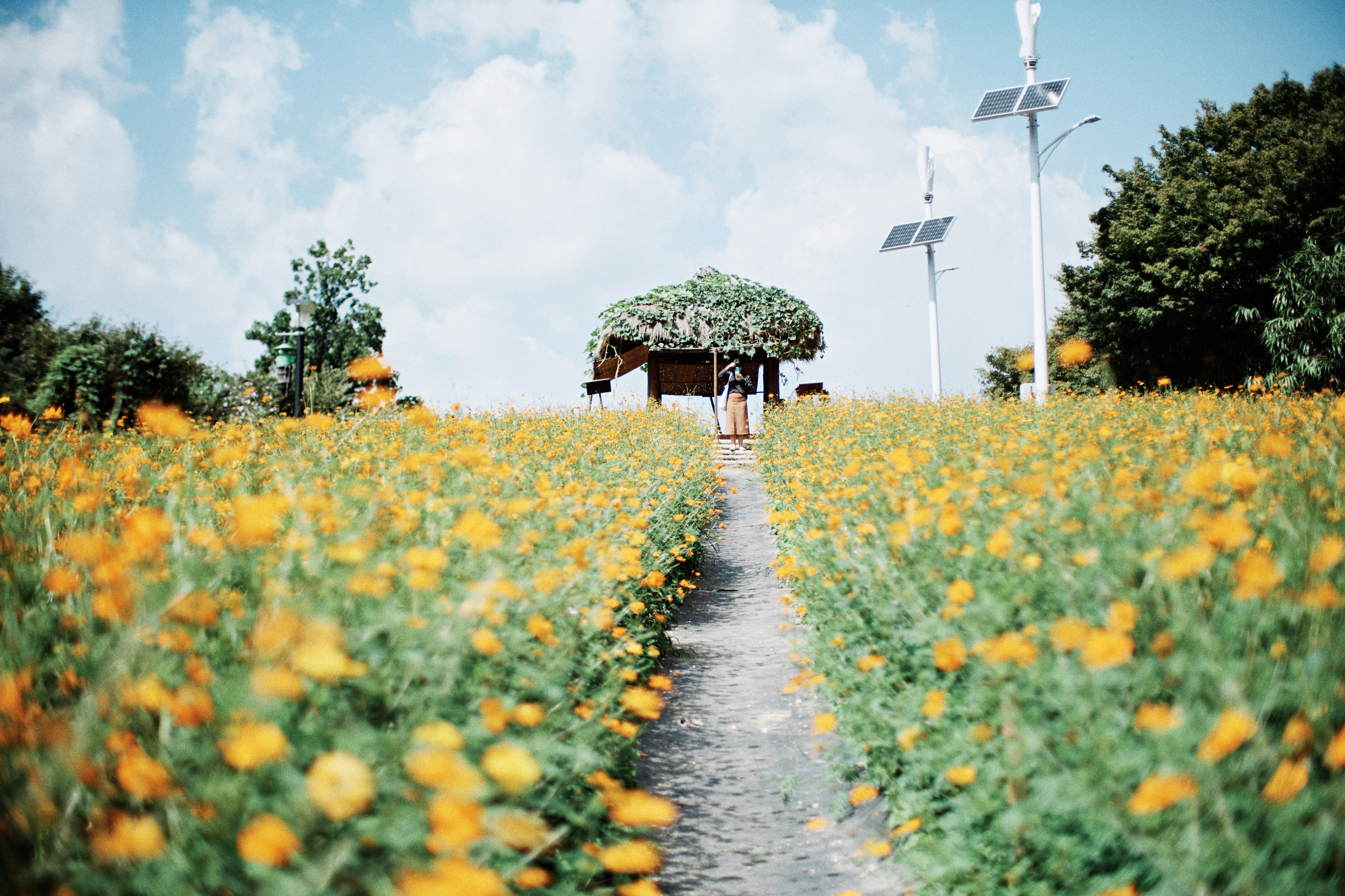 Seoul Olympic Park 5