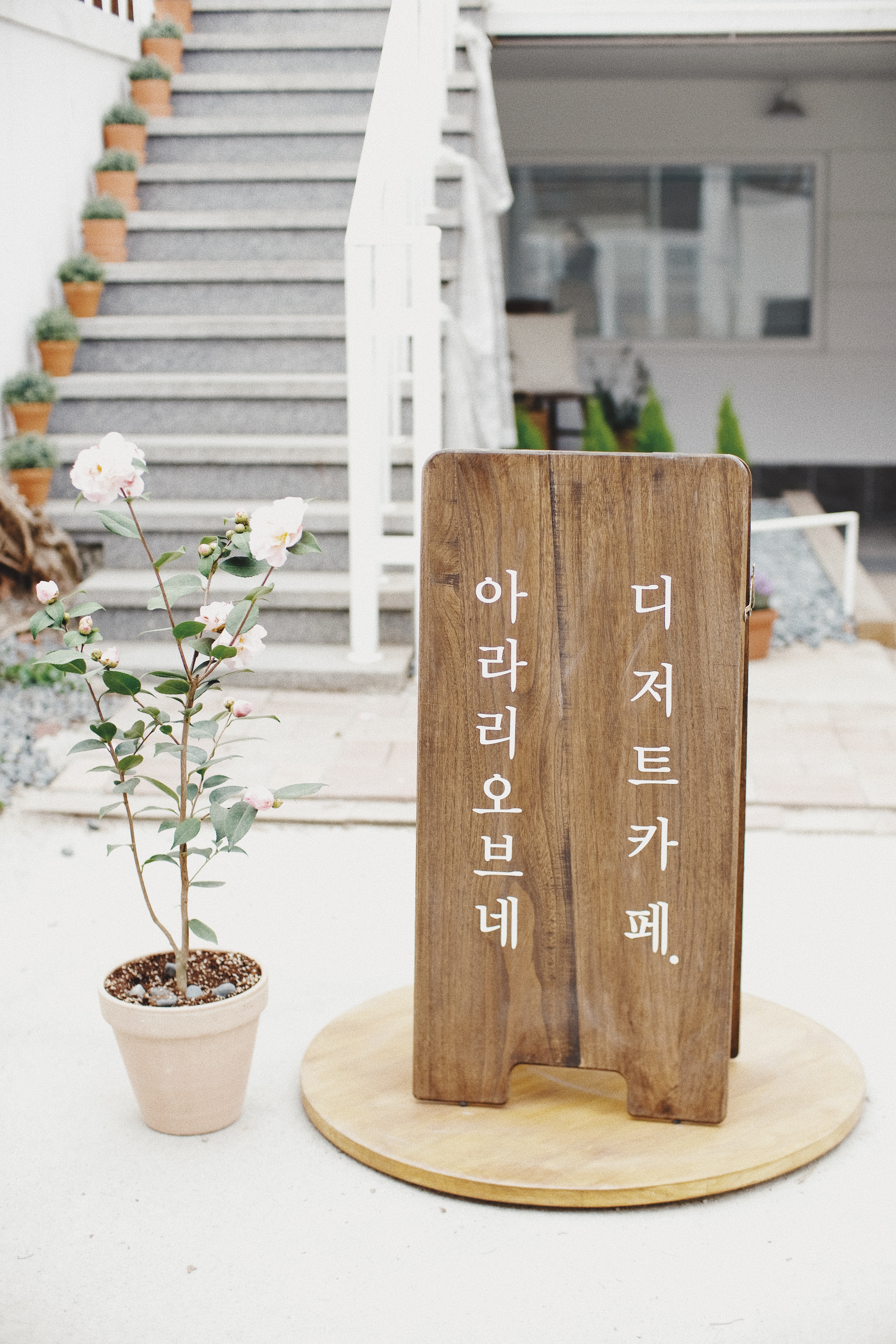 Arari Ovene Cafe Yeonnamdong Seoul South Korea | Photographer