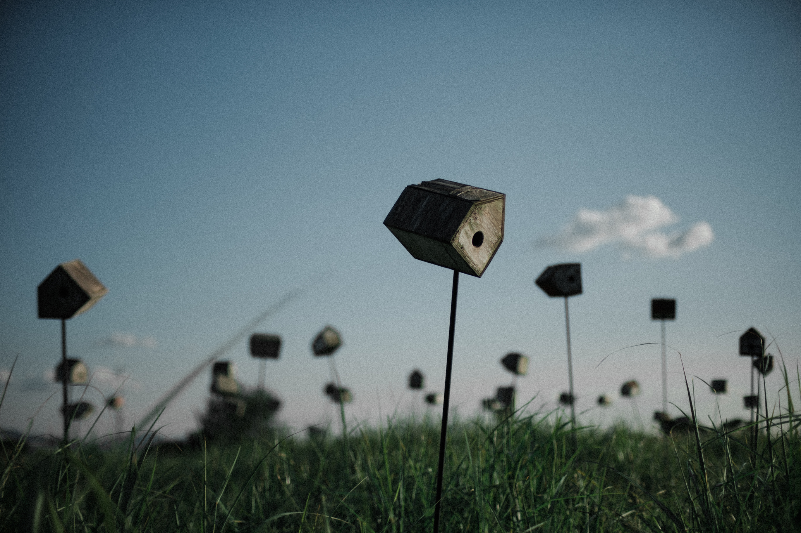 Haneul Park Seoul South Korea