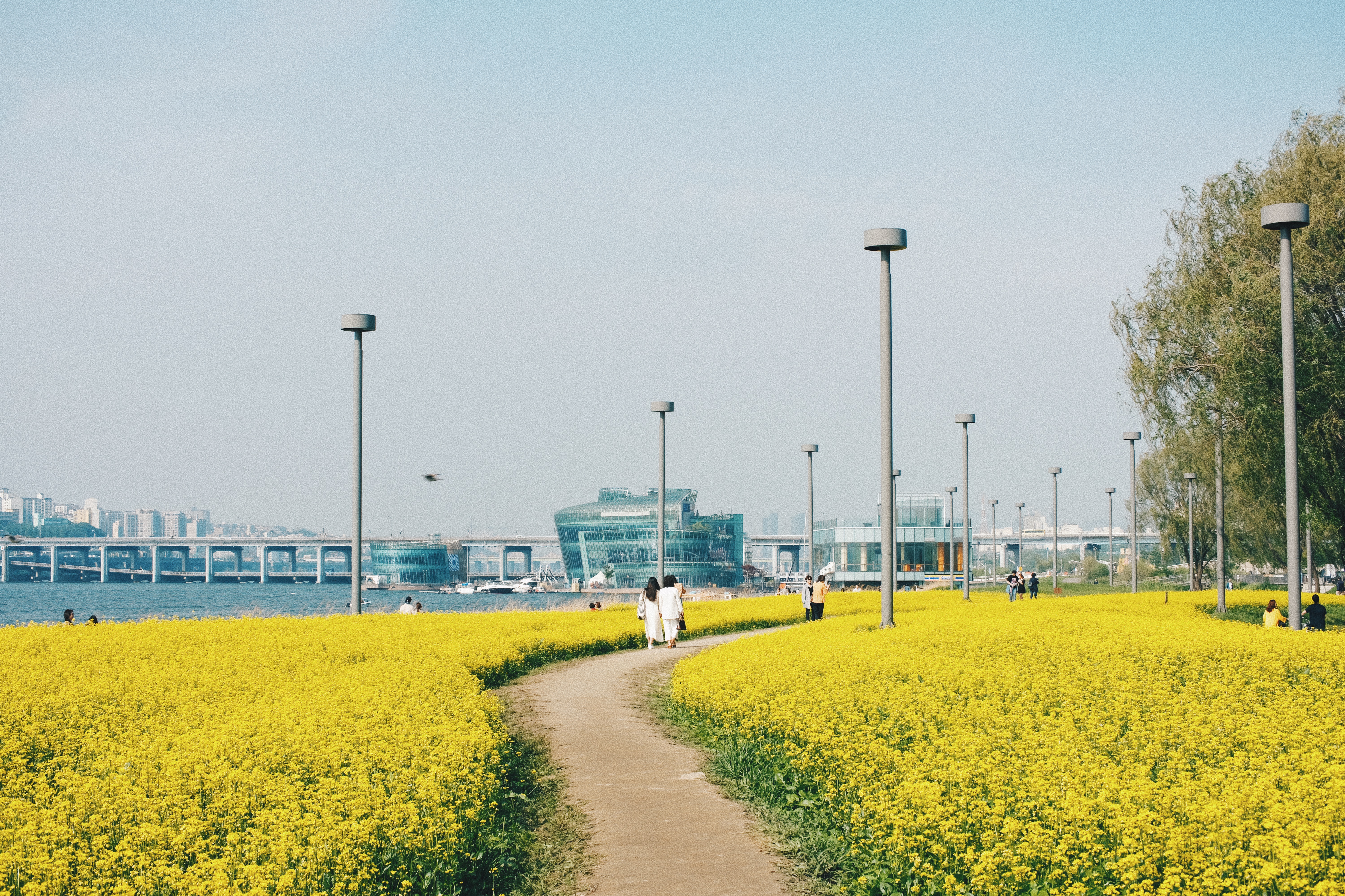 Photographer | Seoraeseom Seoul South Korea