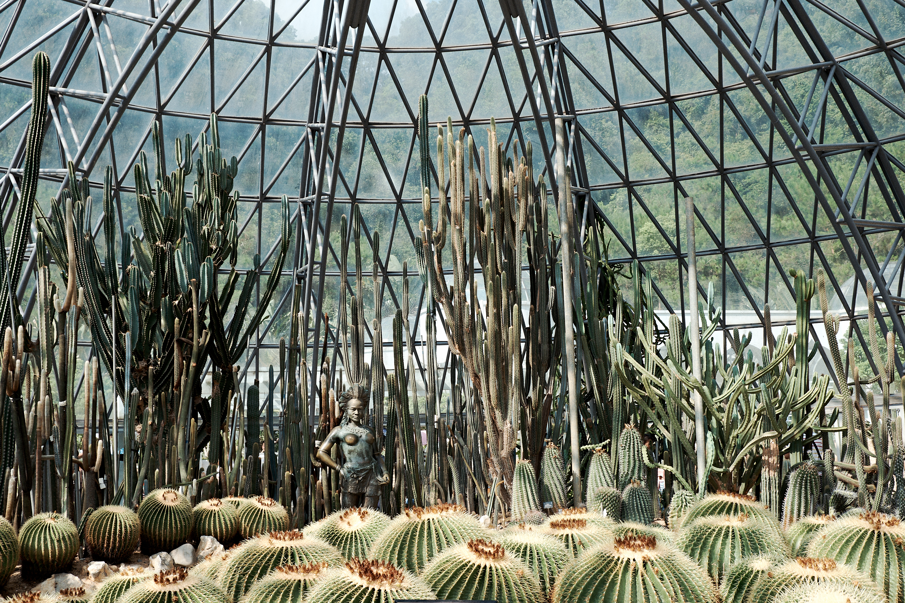 Shenzhen Fairy Lake Botanical Garden