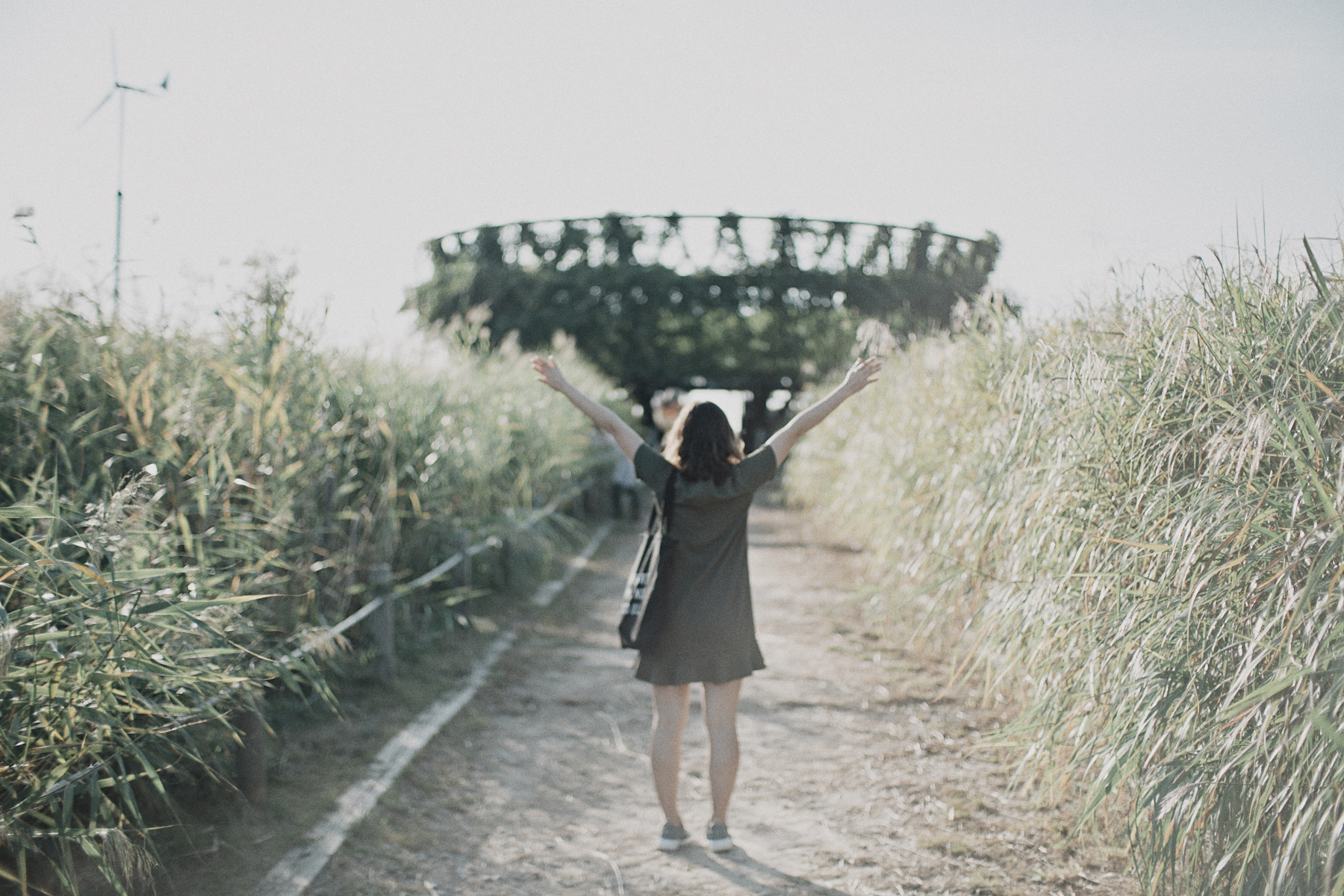 Haneul Park Seoul South Korea