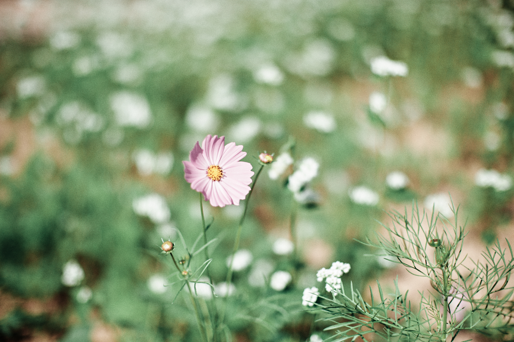 성동호수공원 8.jpg