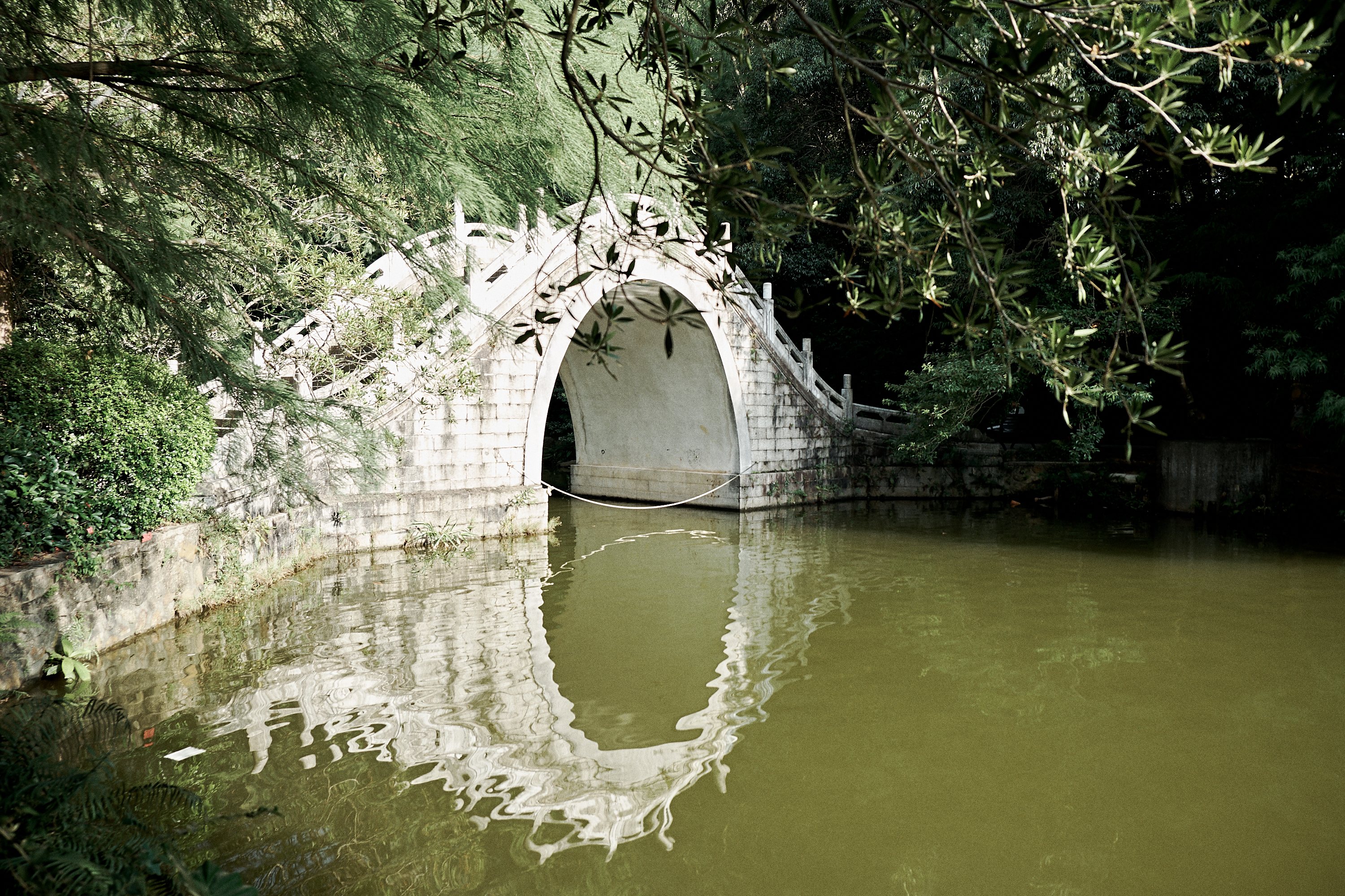Shenzhen Fairy Lake Botanical Garden