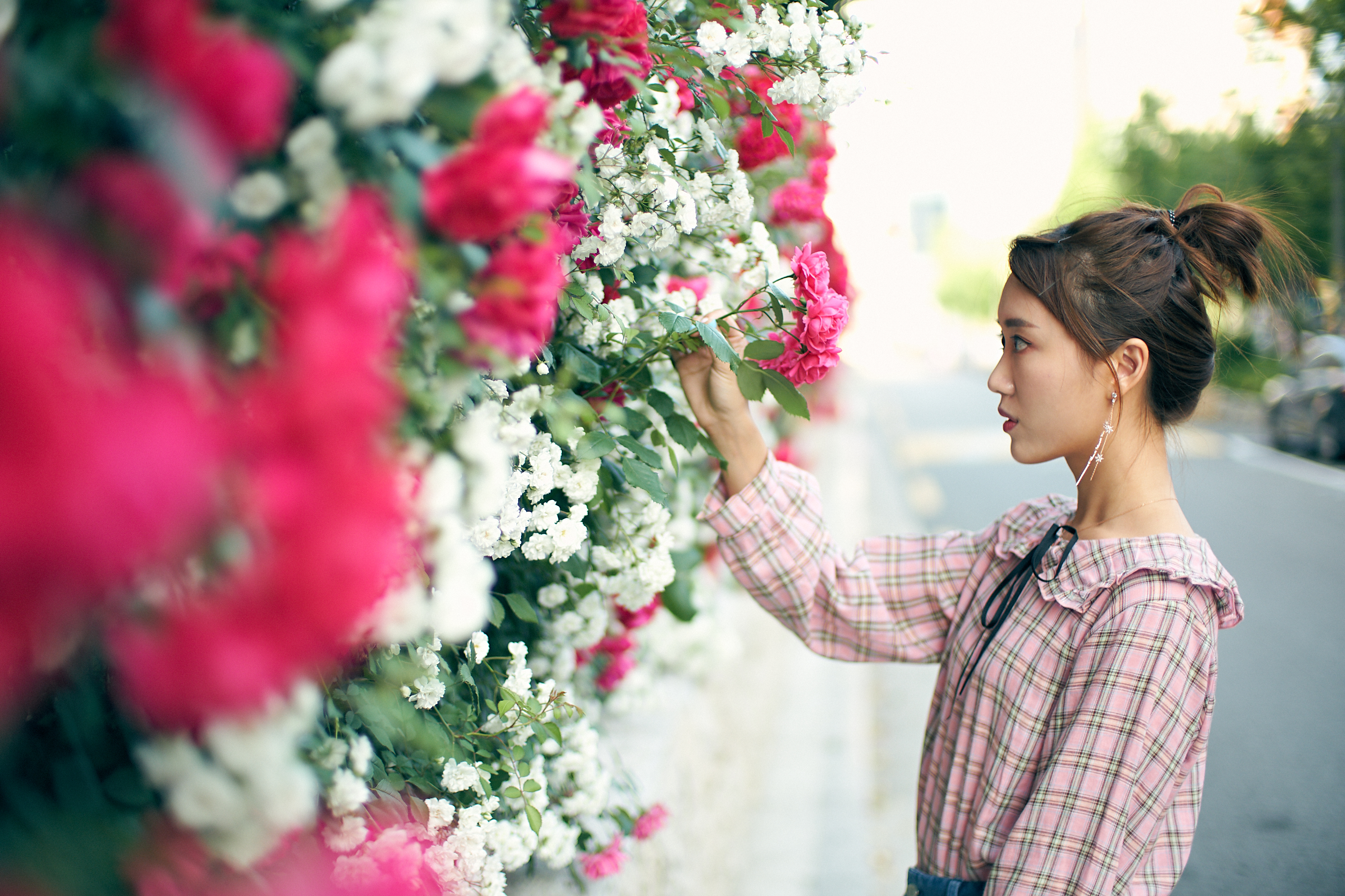 Photographer | Summer roses in Seoul South Korea