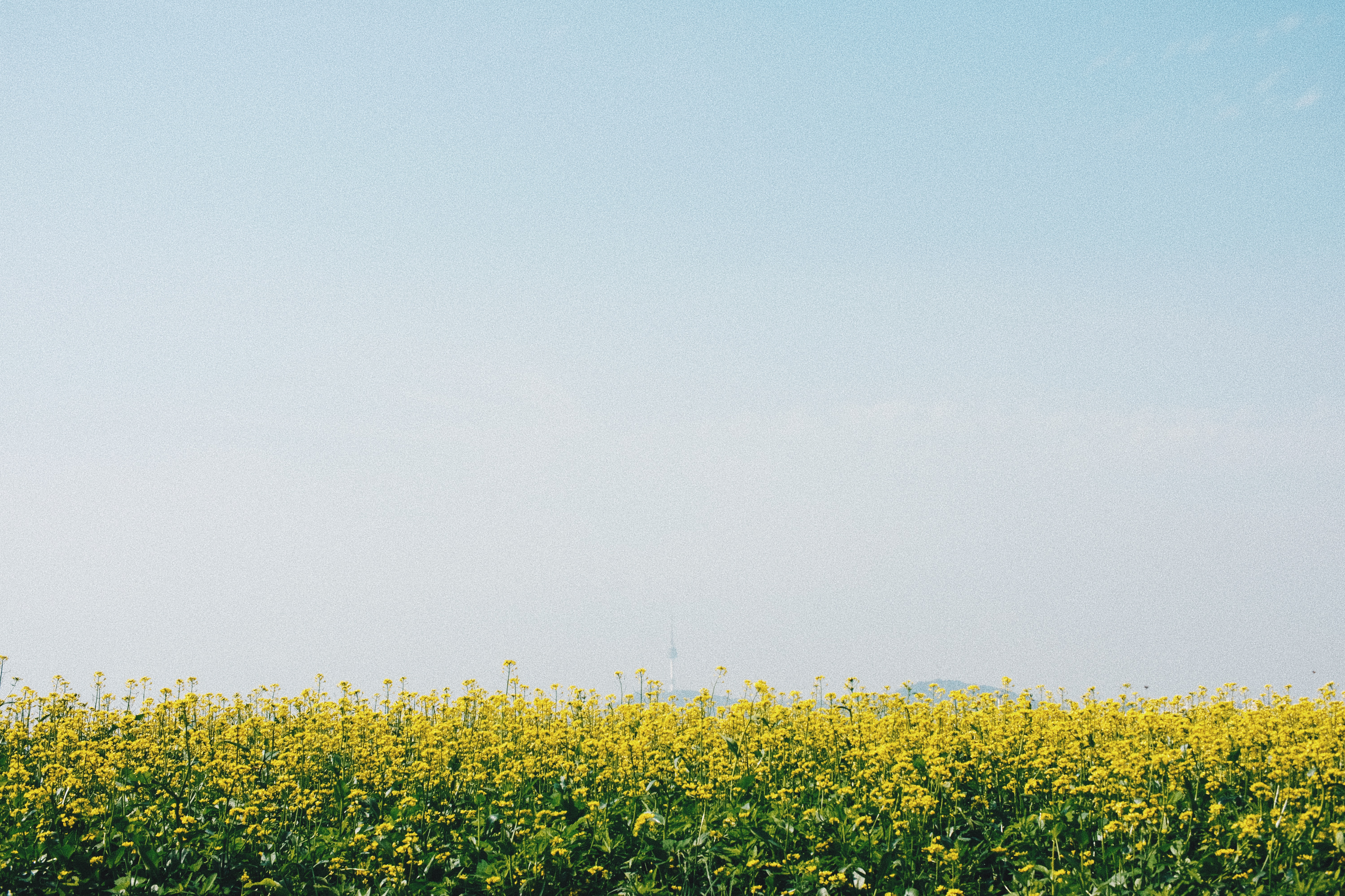 Photographer | Seoraeseom Seoul South Korea