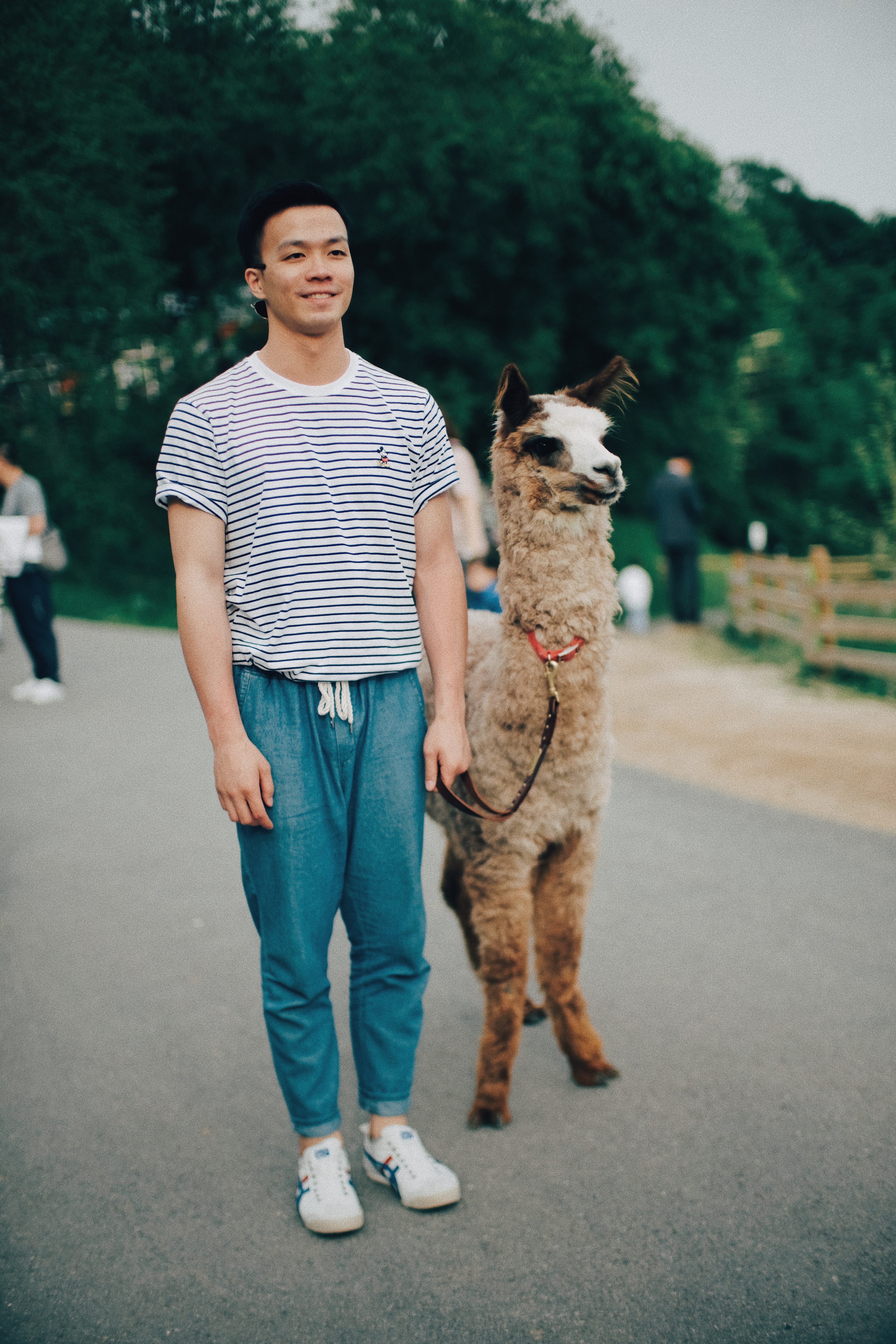 Photographer | Alpaca World South Korea