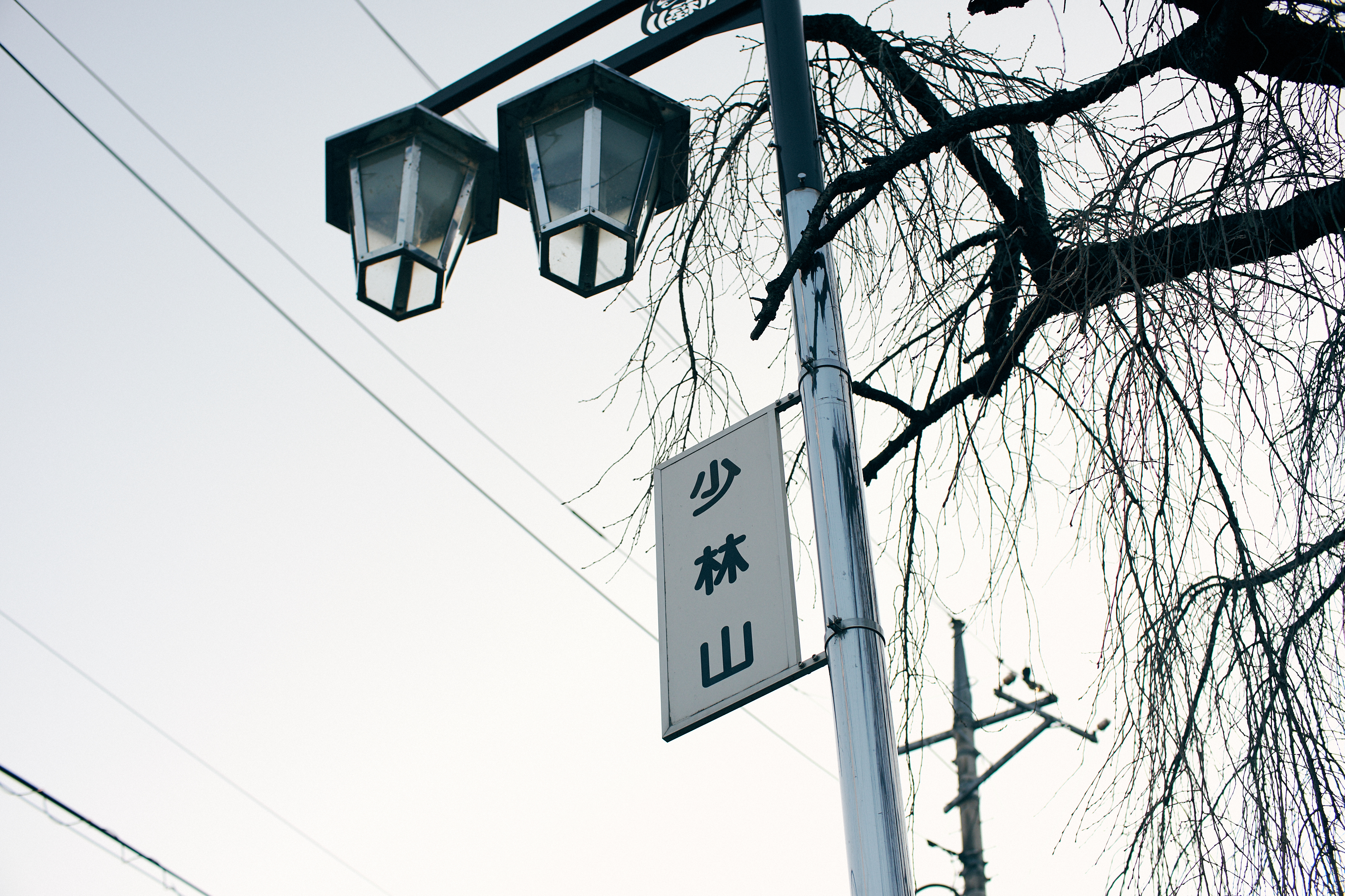 Travel Photographer | Shorinzan Takasaki Japan