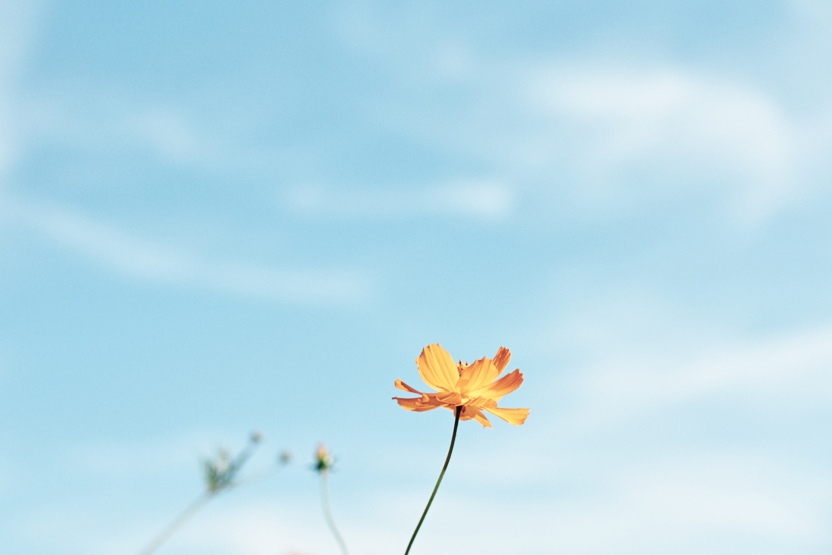 성동호수공원 7.jpg