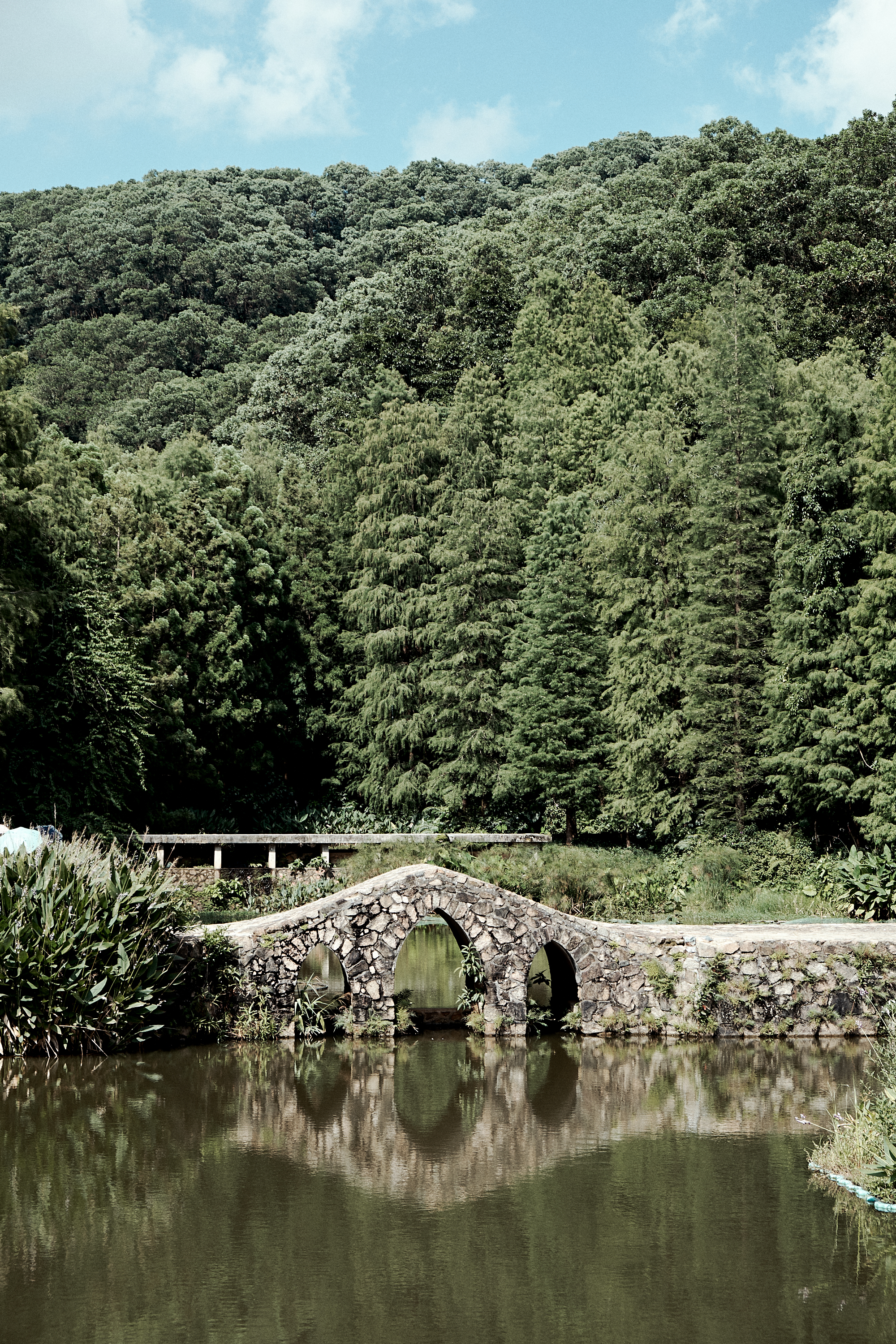 Shenzhen Fairy Lake Botanical Garden