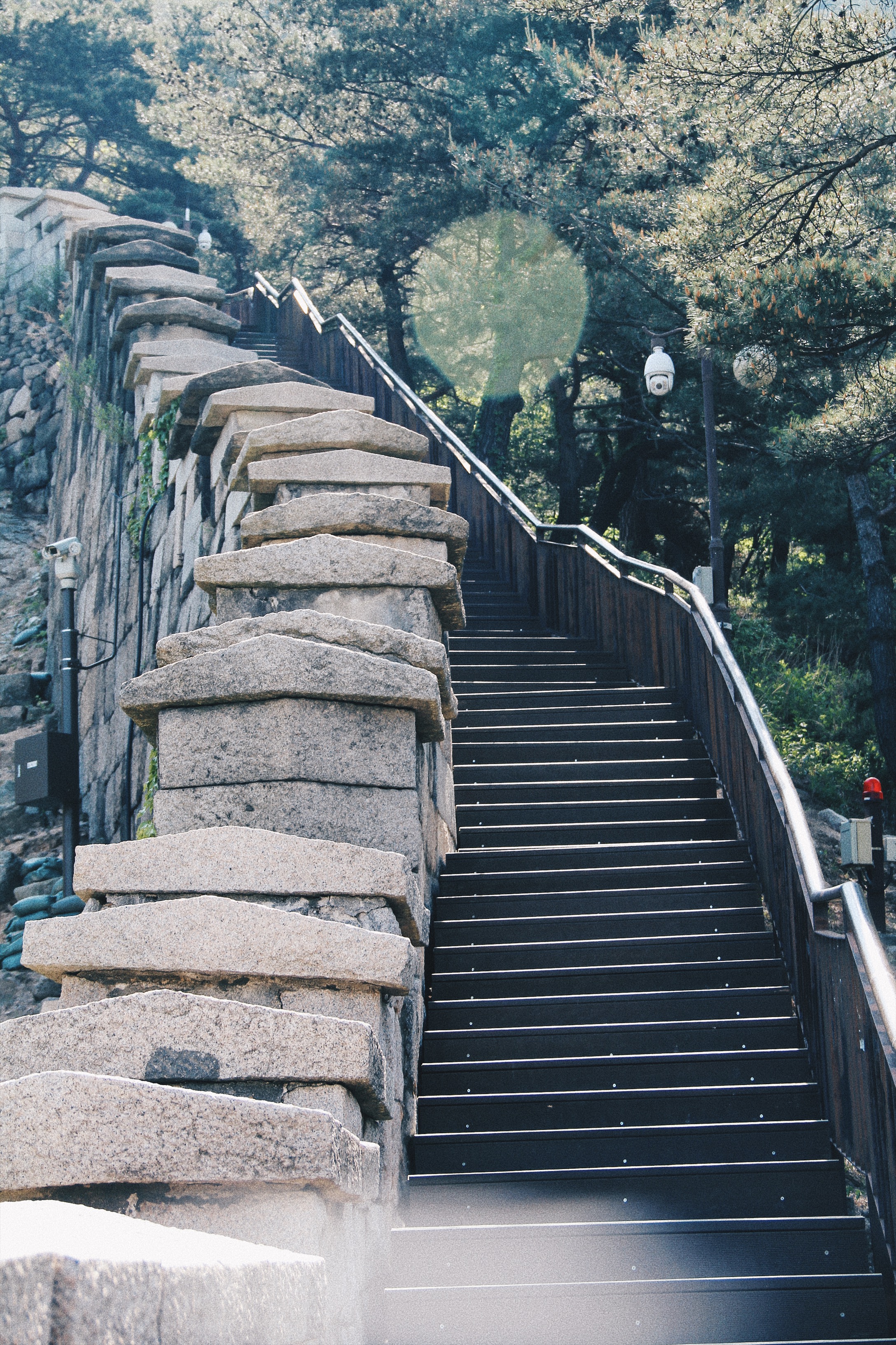 Photographer | Hiking Bugaksan Seoul South Korea