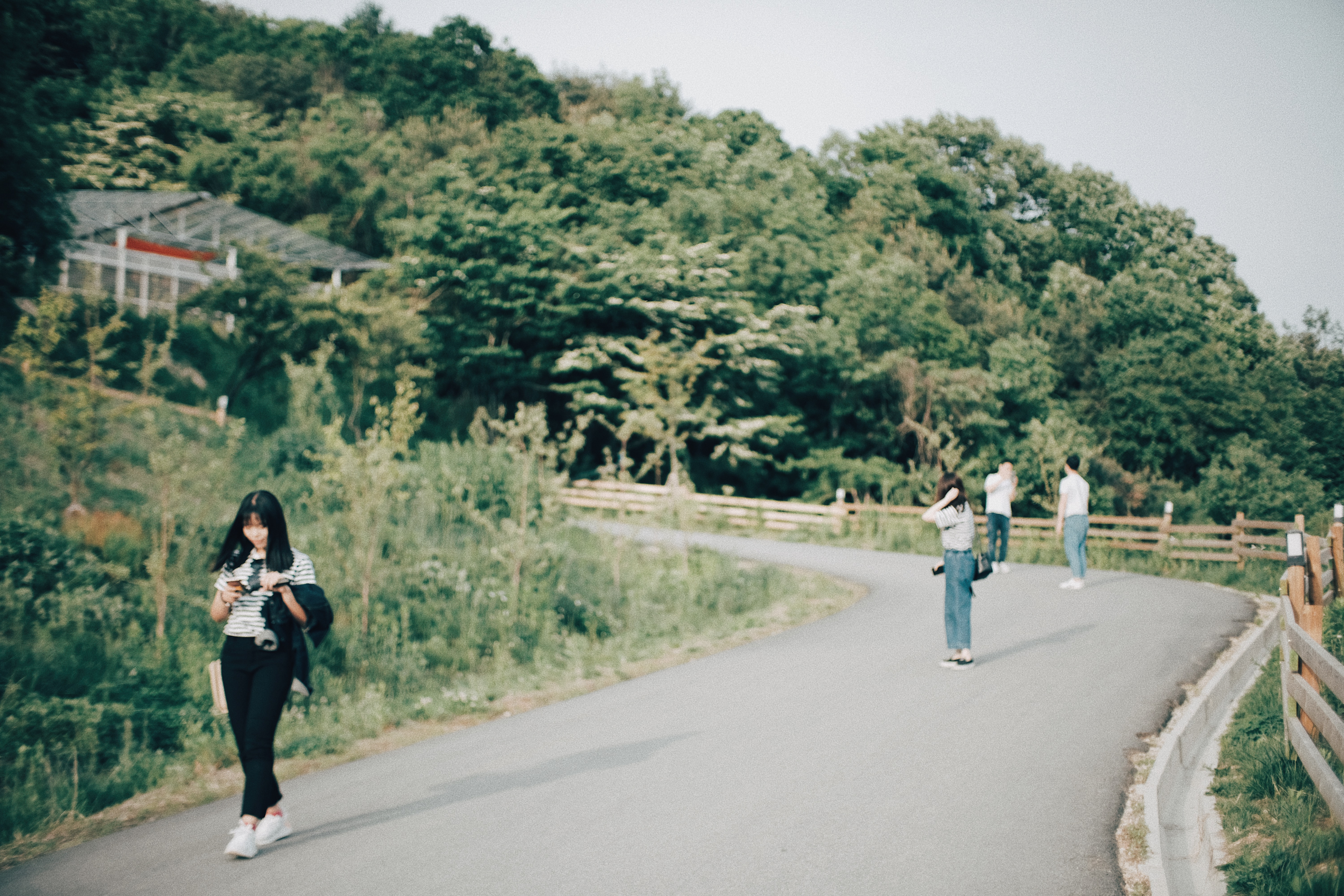 Photographer | Alpaca World South Korea