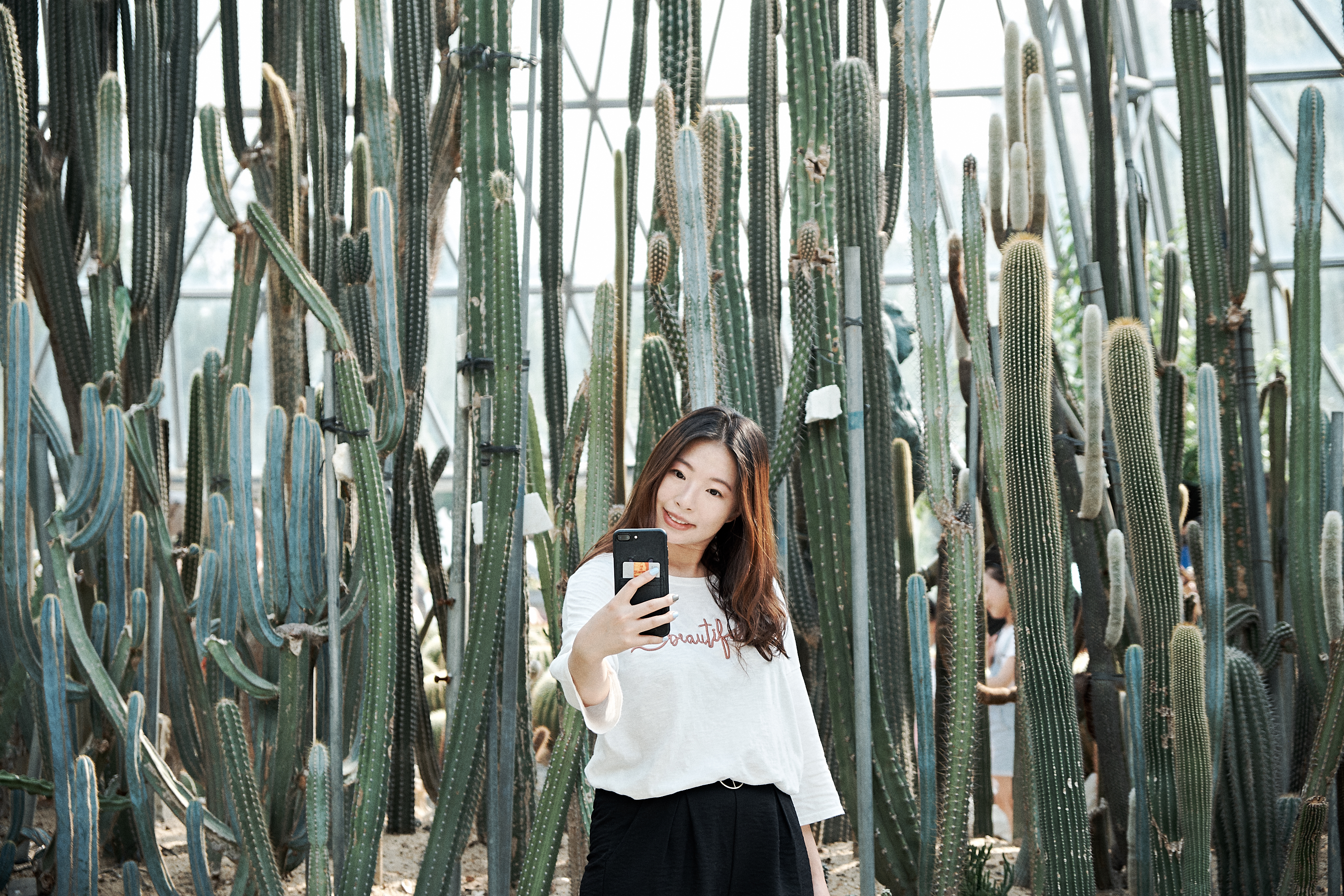 Shenzhen Fairy Lake Botanical Garden