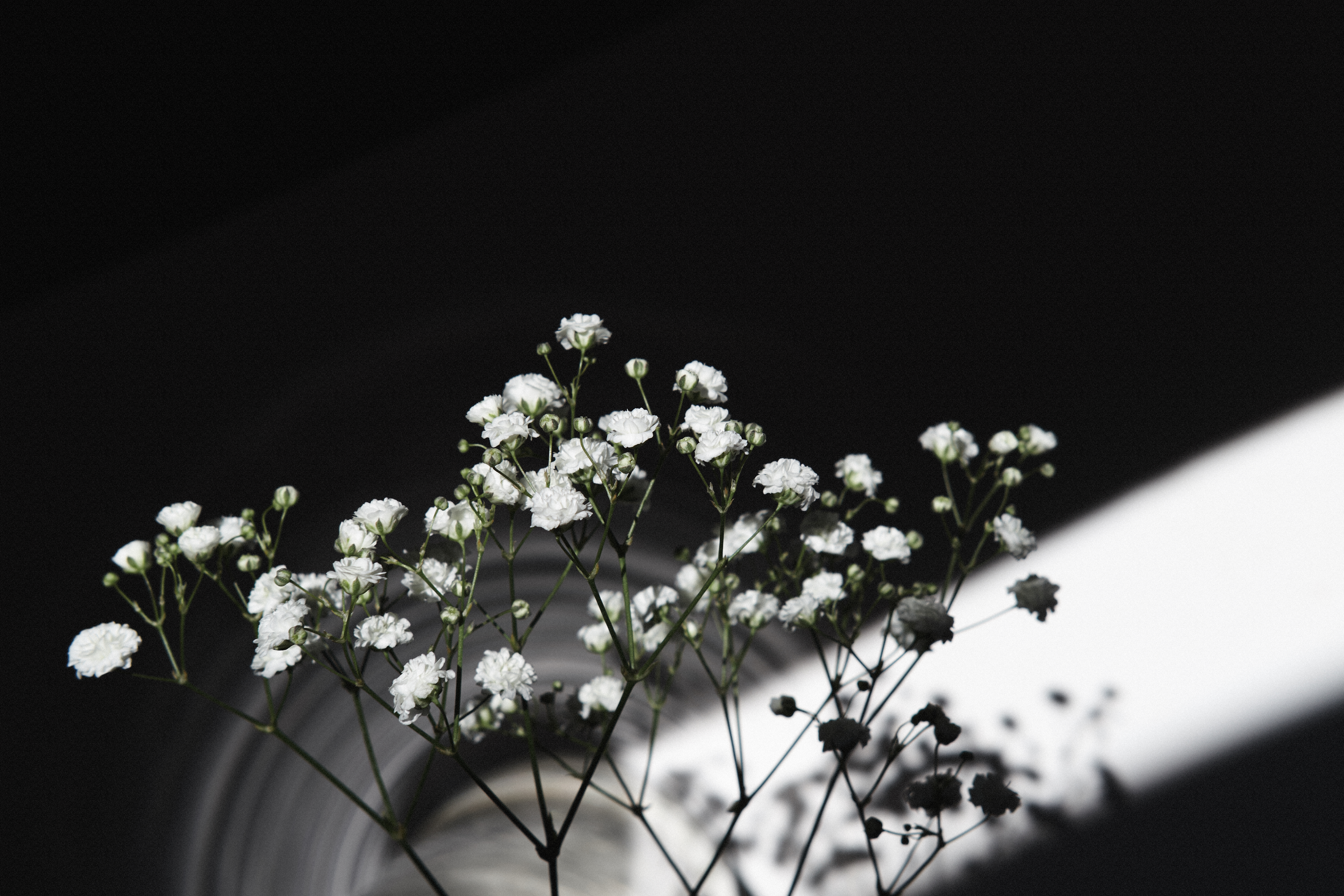 Photographer | The Bloom Edit Singapore