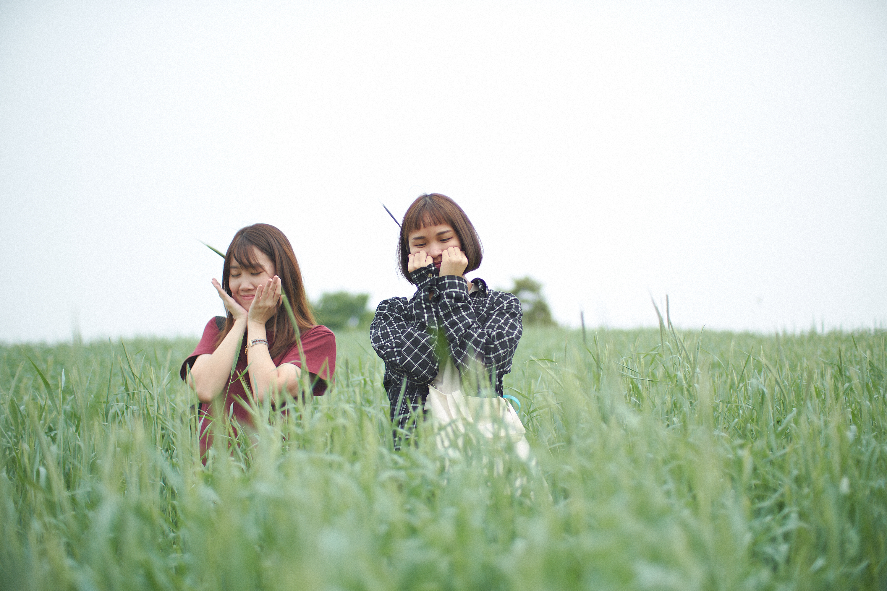 Photographer | Anseong Farmland South Korea