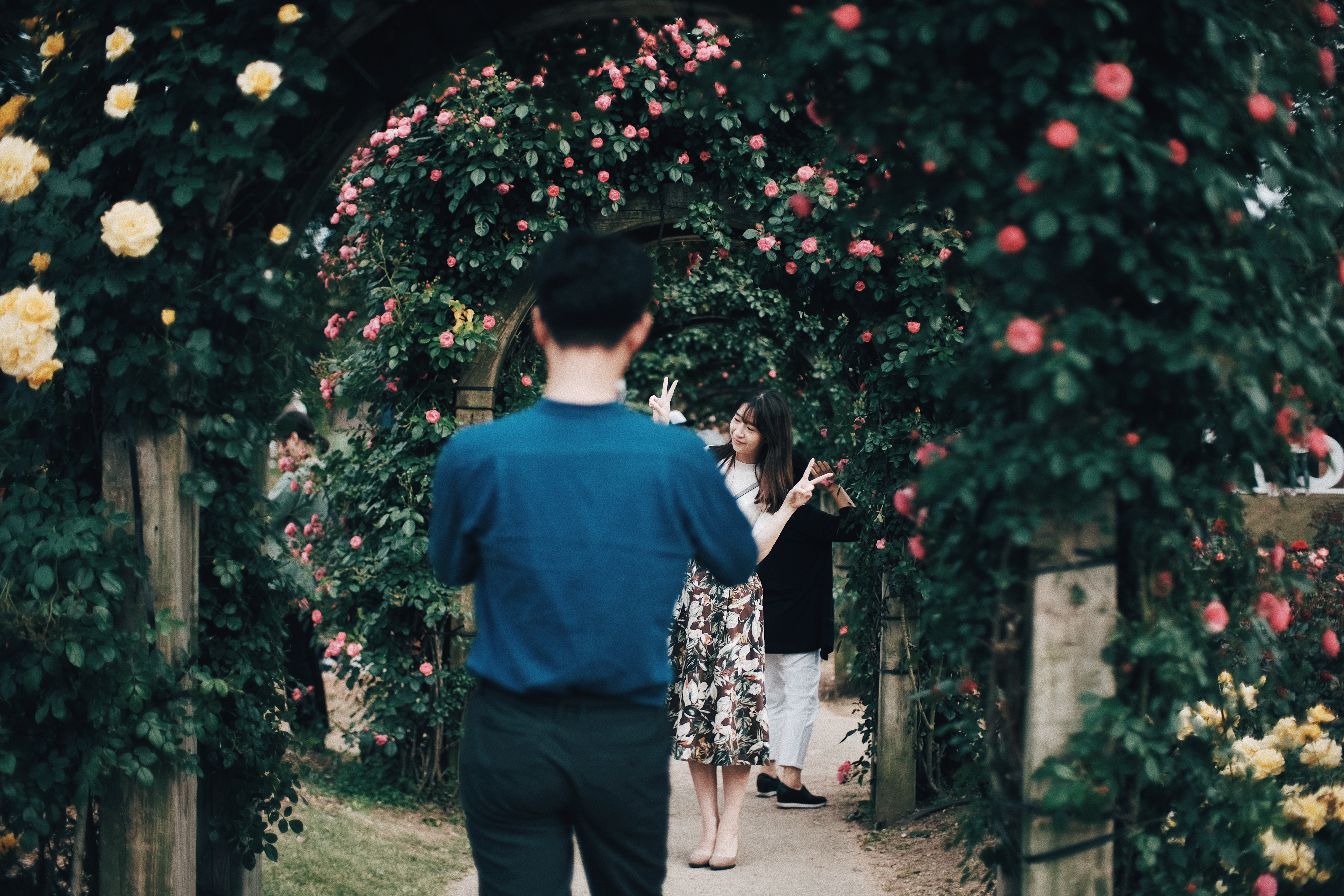 Photographer | Seoul Grand Park Rose Festival 2018 South Korea