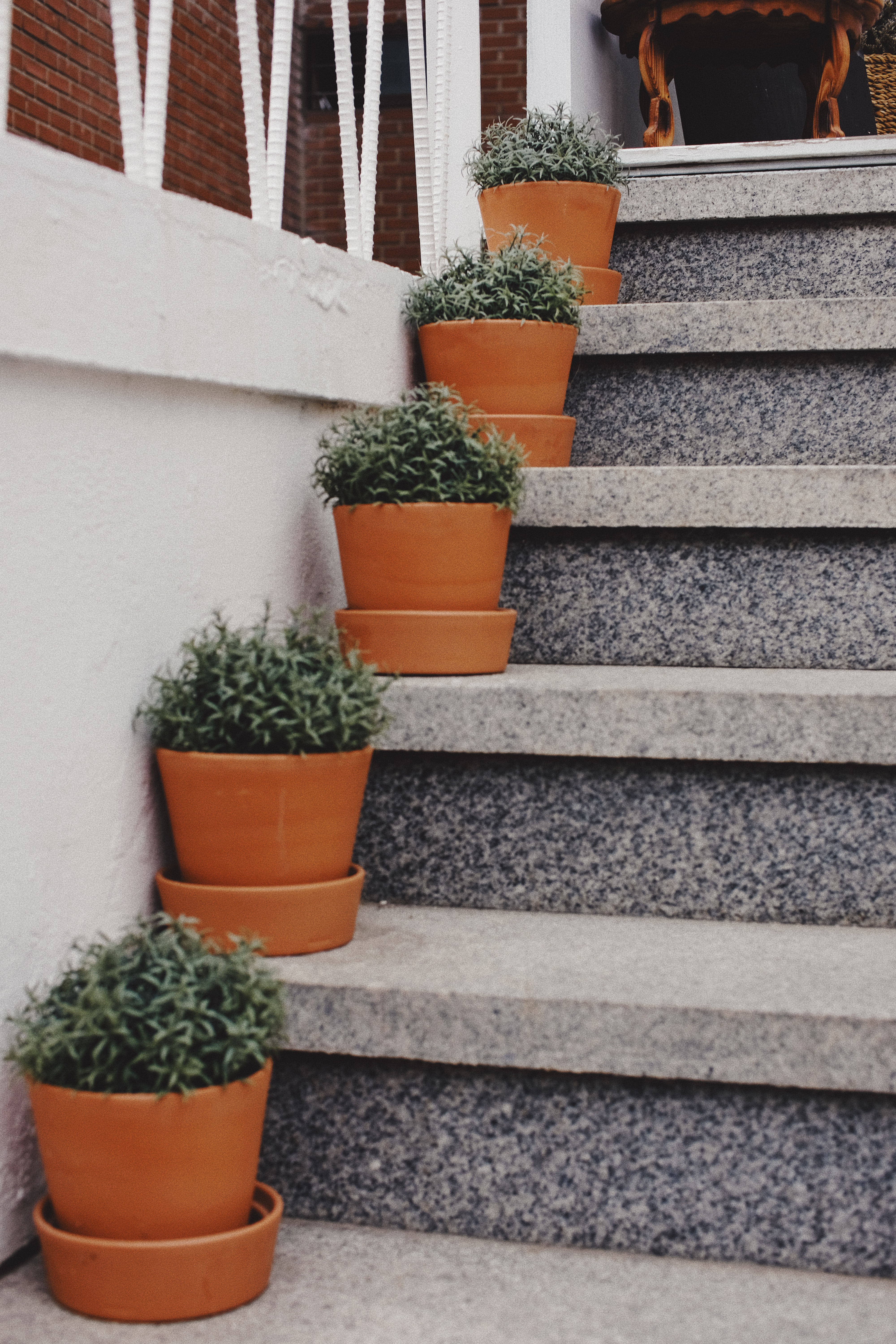 Arari Ovene Cafe Yeonnamdong Seoul South Korea | Photographer