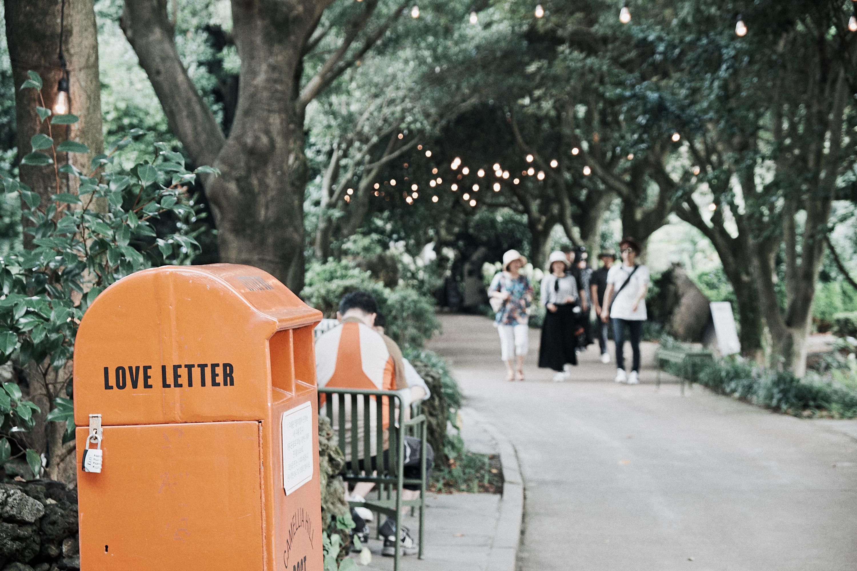 Jeju Camellia Hill 2
