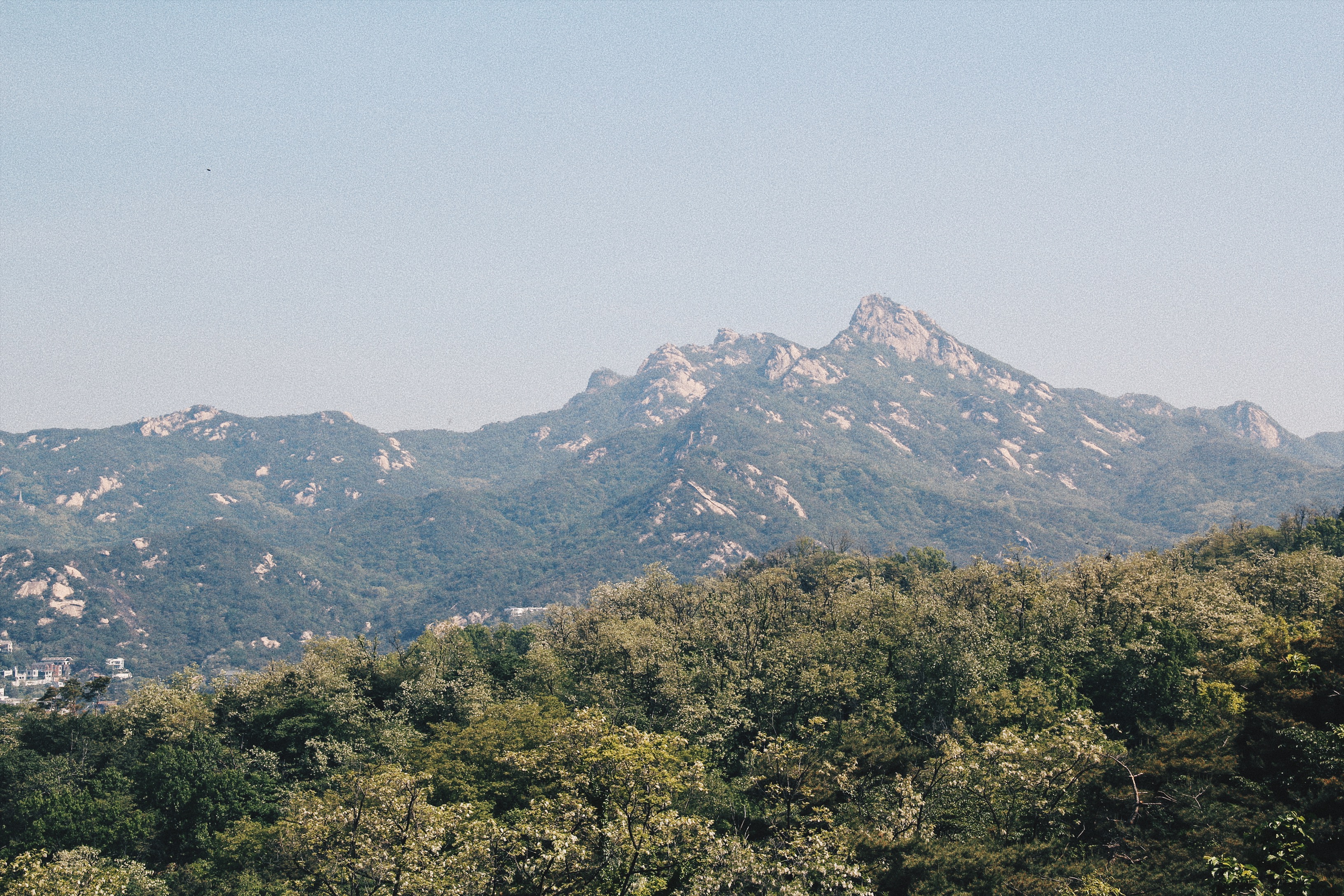 Photographer | Hiking Bugaksan Seoul South Korea